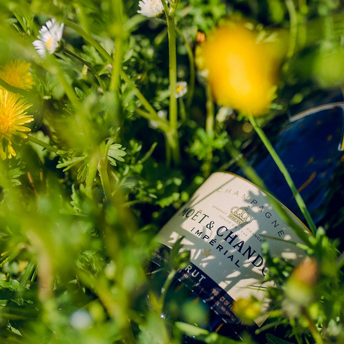 Non-vintage Champagne bottle photographed outdoors among wildflowers, reflecting balance, consistency and house style.