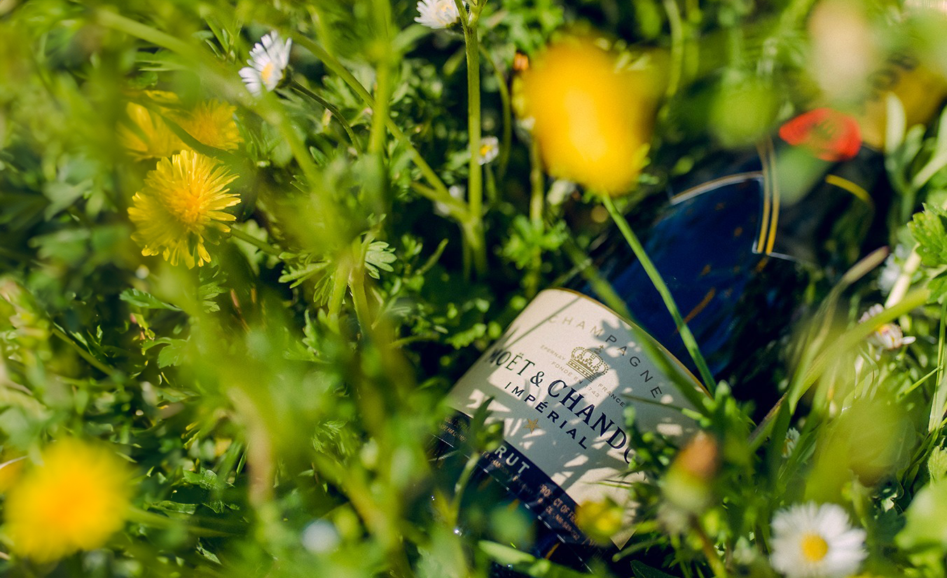 Non-vintage Champagne bottle photographed outdoors among wildflowers, reflecting balance, consistency and house style.