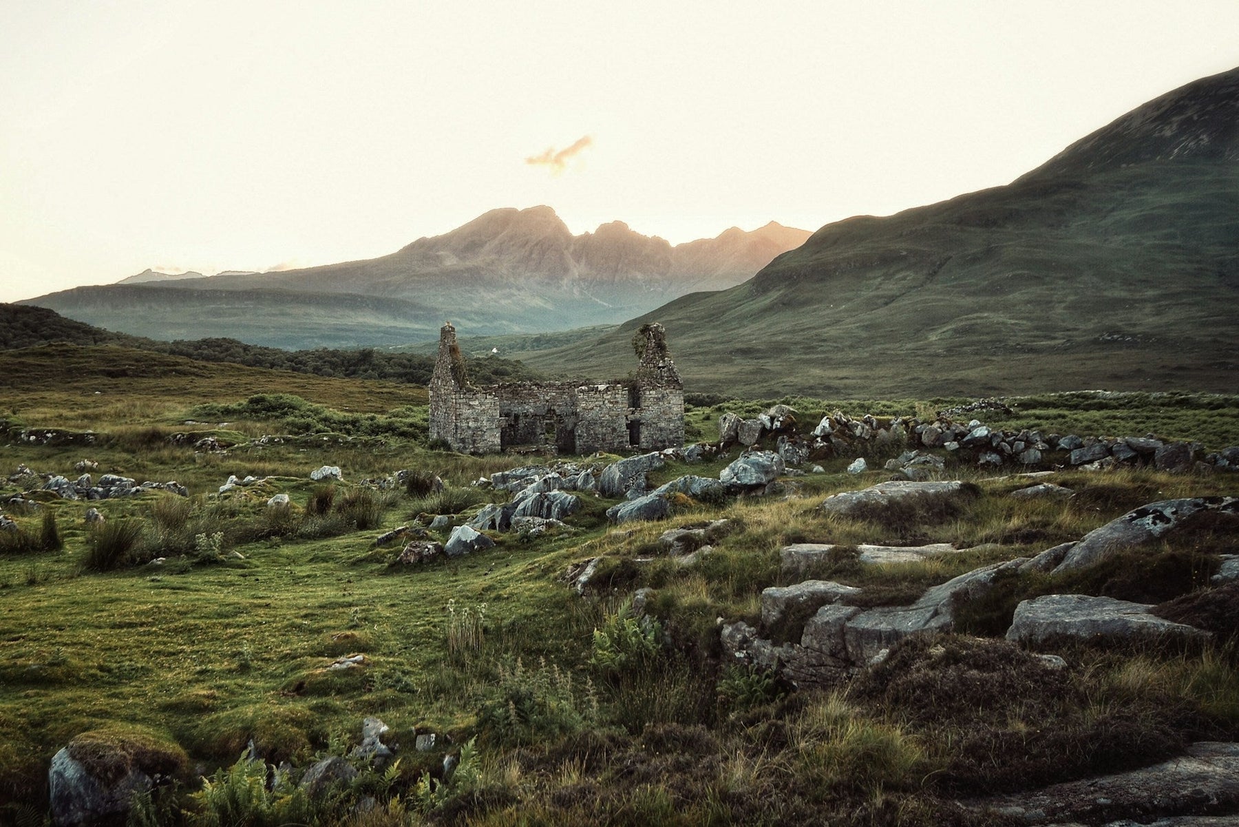 Scottish peatland landscape at dusk, illustrating the natural origin of peat used in peated whisky production