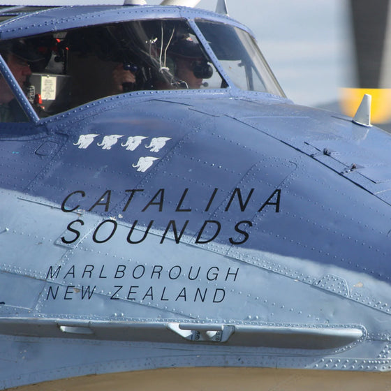 Catalina Sounds