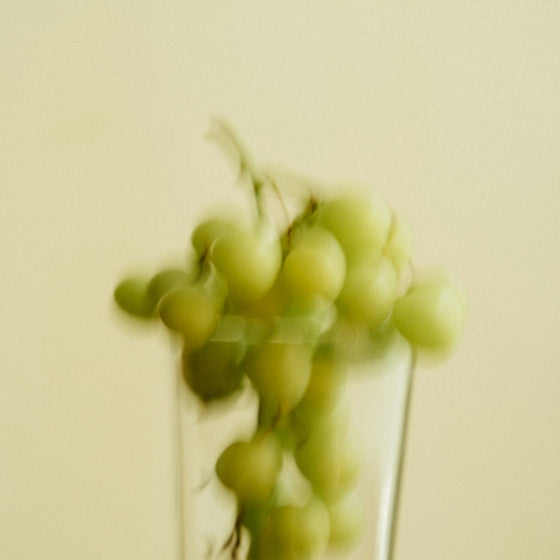 Chardonnay & Chablis