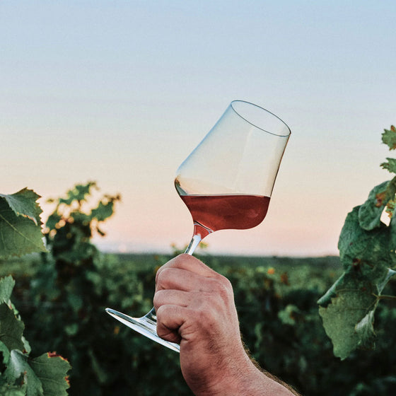 Gamay & Beaujolais
