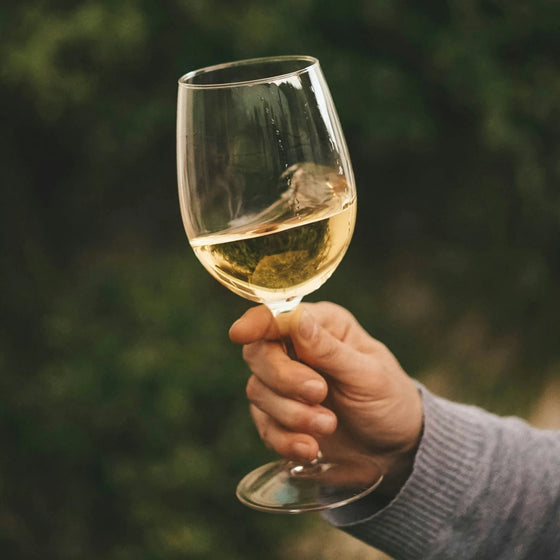 Pinot Gris & Pinot Grigio