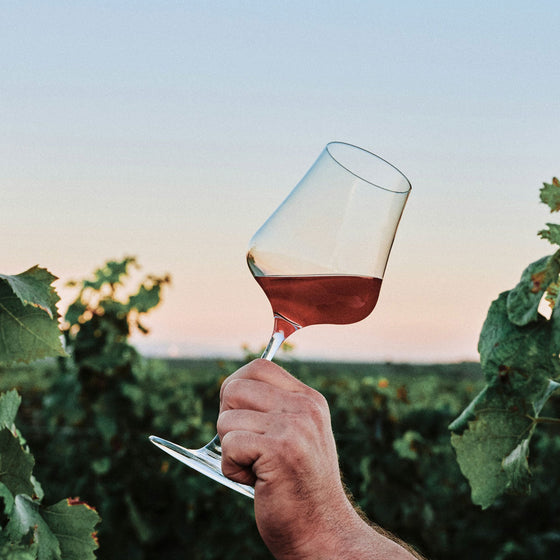 Pinot Noir