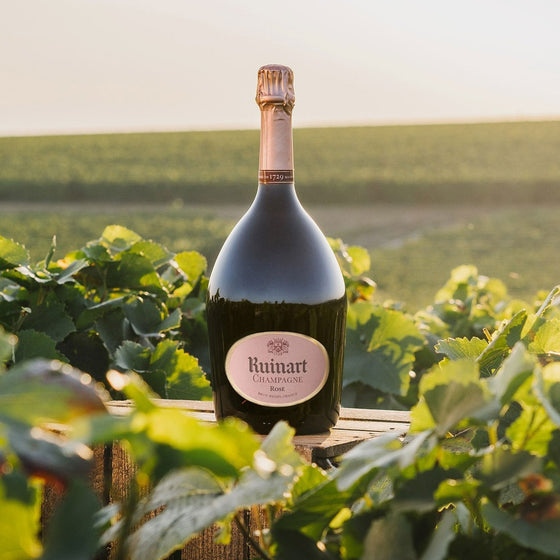 Champagne Magnums & Large Format