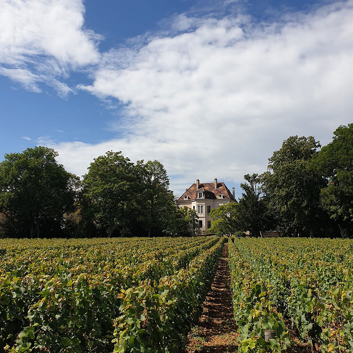 Domaine Des Comtes Lafon Monthélie-Les Duresses 2021