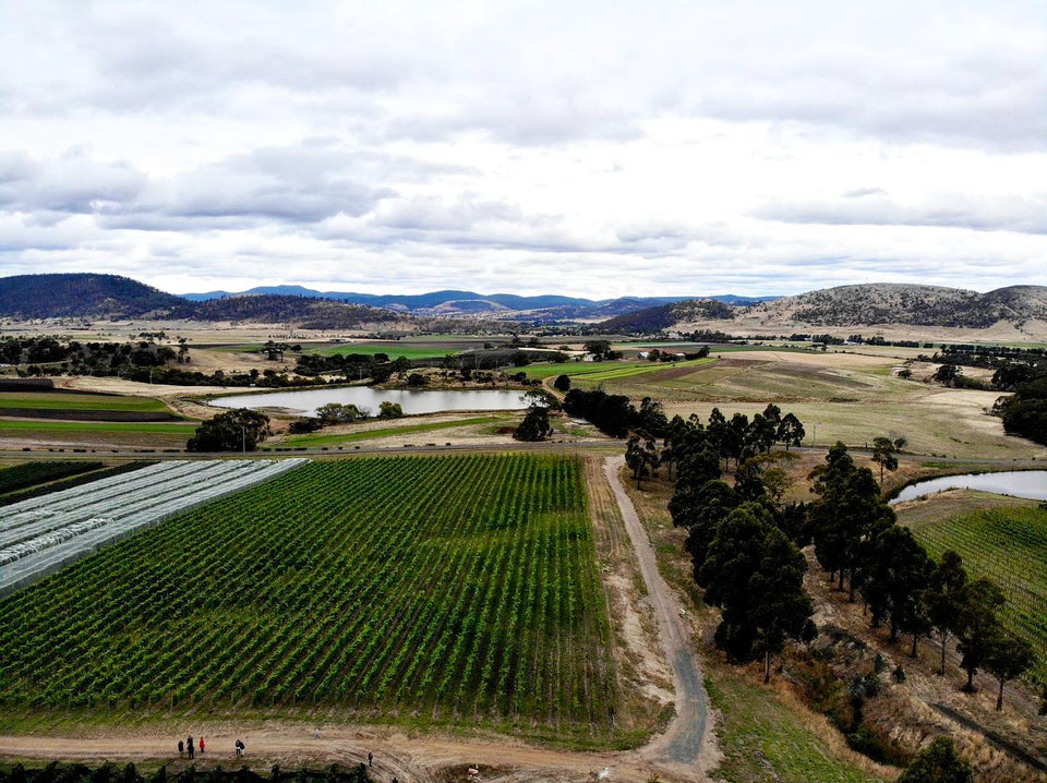 Vineyard brand story