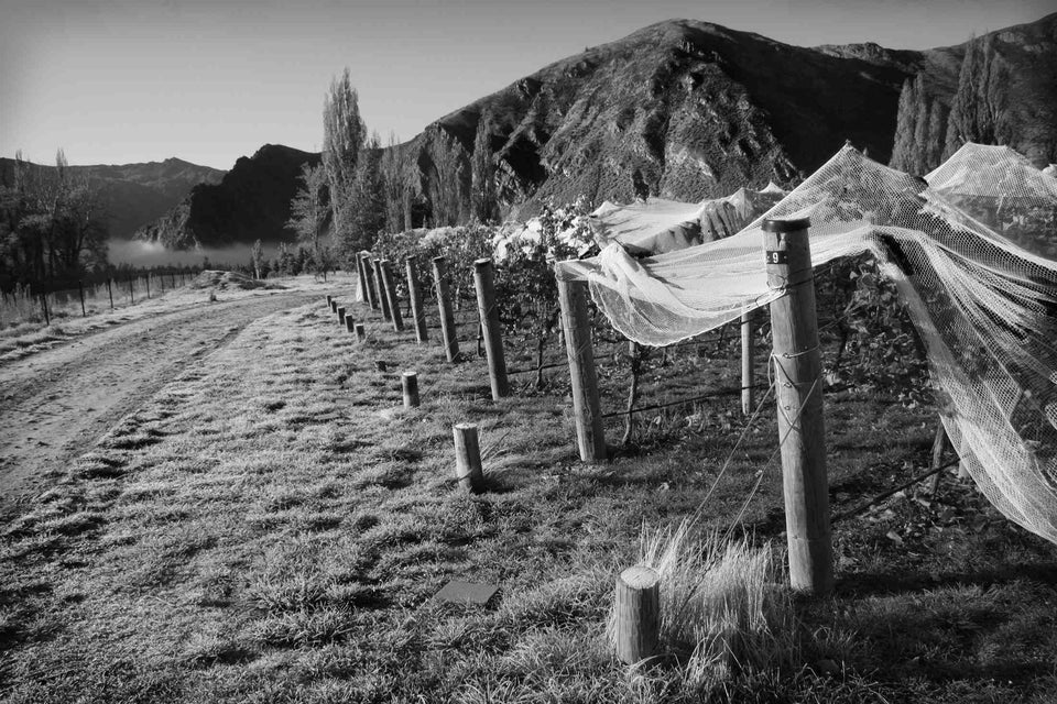The Vineyard brand story