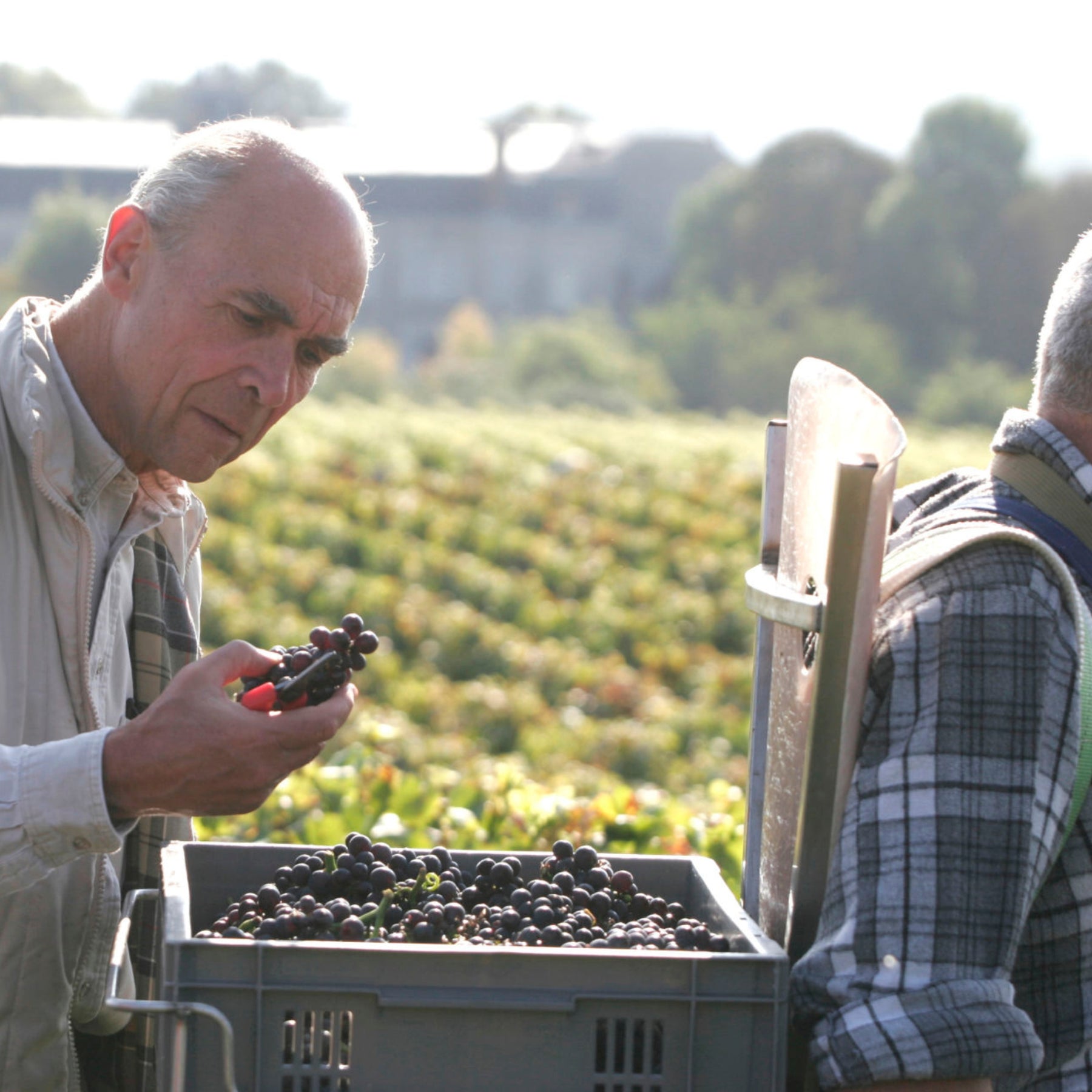 Domaine de la Romanée-Conti La Tâche Grand Cru 2022
