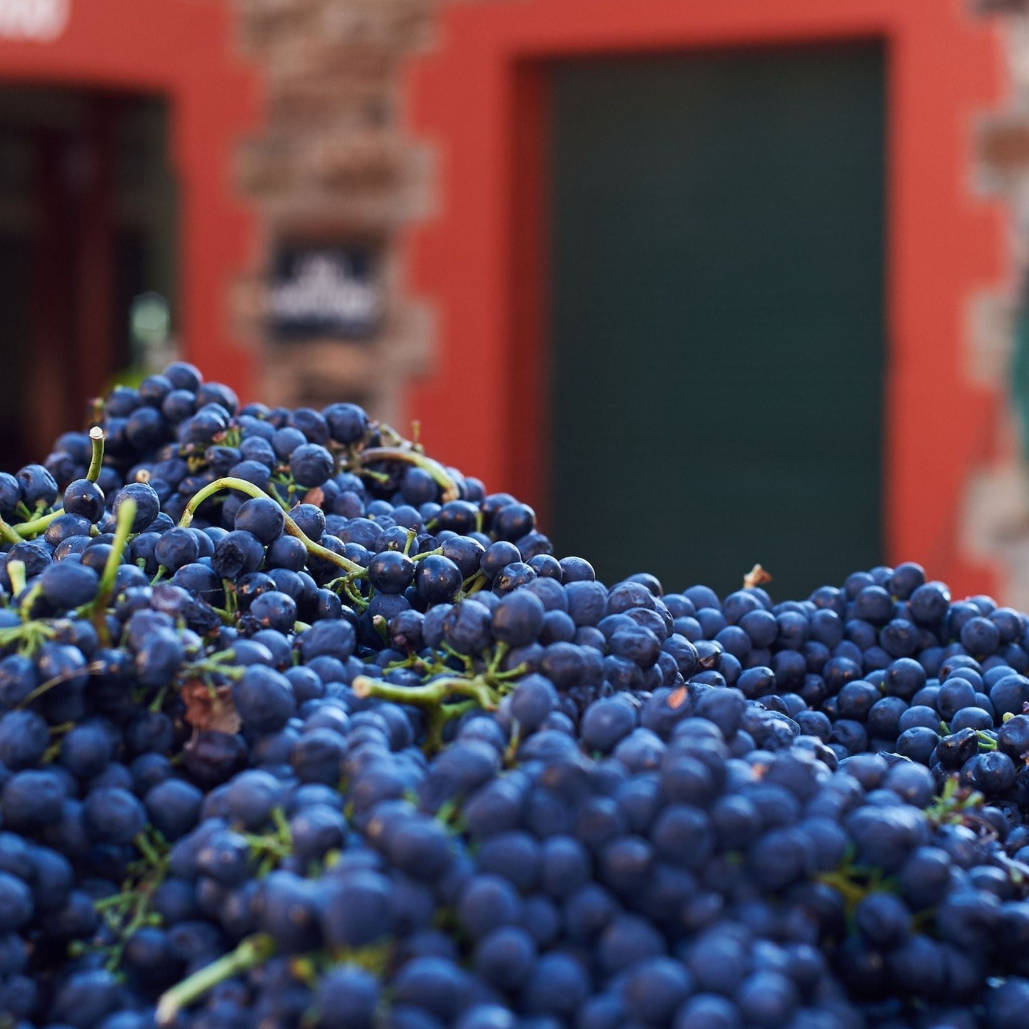 Penfolds Bin 95 Grange Shiraz 1996