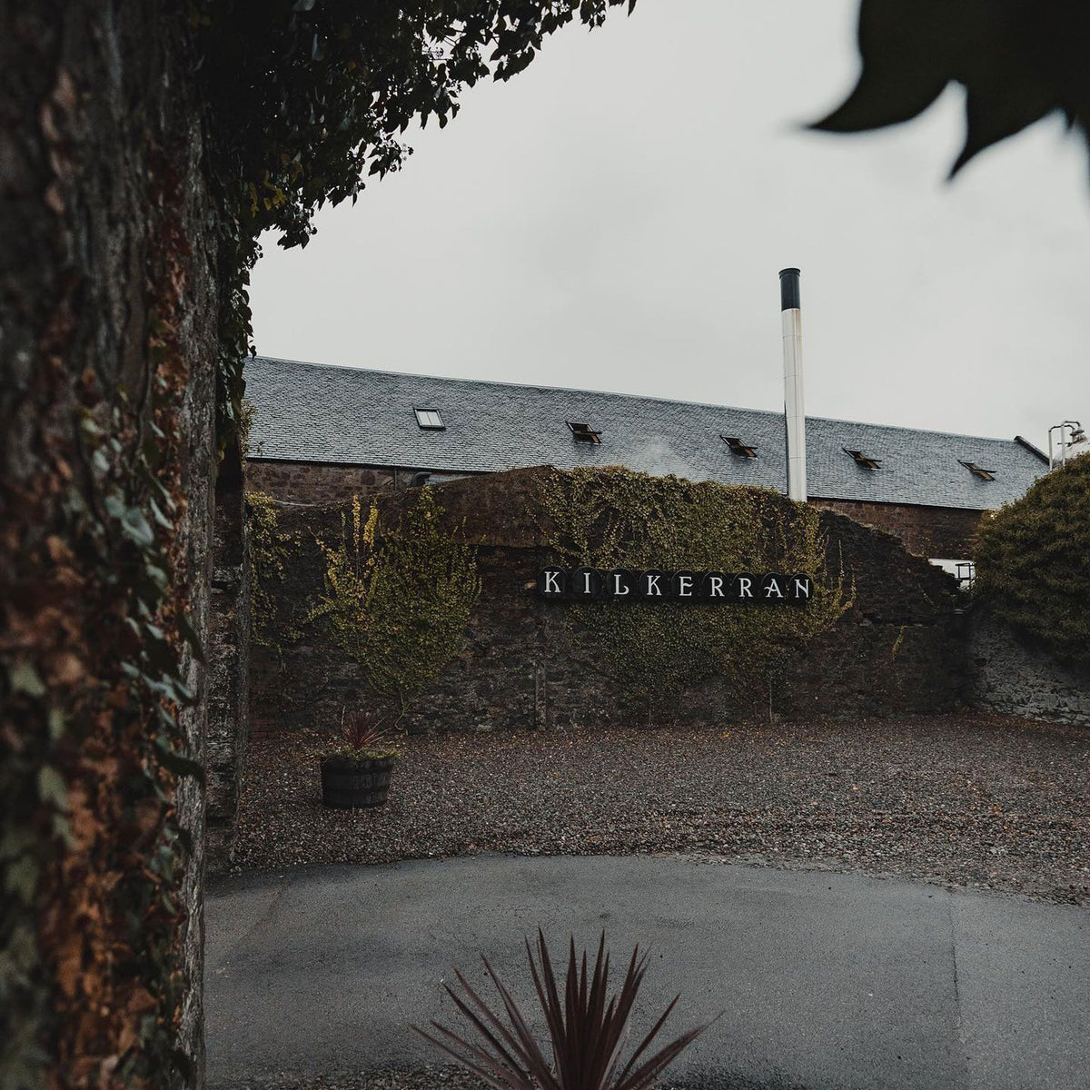 In the year 2000, the distillery was purchased by Mitchell’s Glengyle Ltd, headed by Hedley G Wright, then chairman of J&A Mitchell and great, great nephew of the original founder of Glengyle, William Mitchell. After his passing in 2023, Mr Wright’s shares in the company were transferred to three local trust funds to ensure that the community would continue to benefit from the company after his passing. - Kent Street Cellars