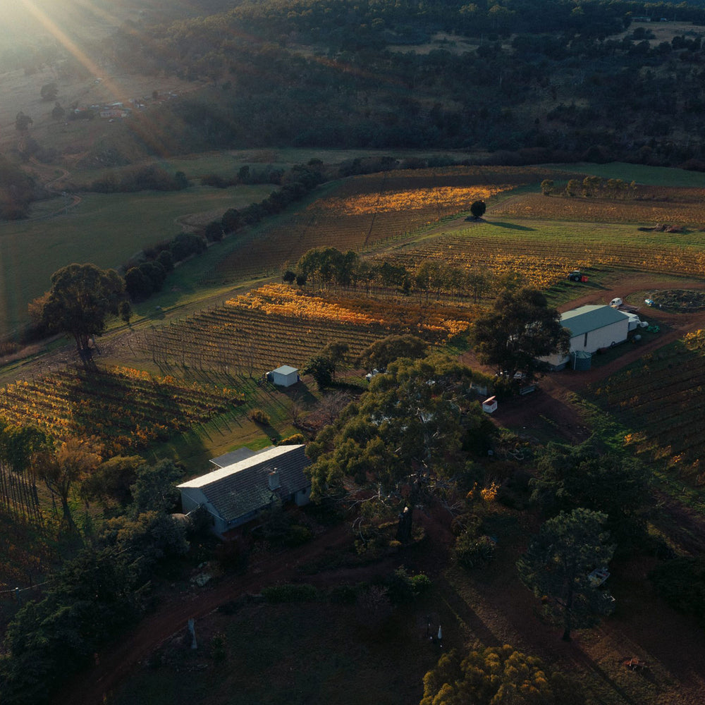 Pooley Elizabeth Anne Chardonnay 2022 - Kent Street Cellars