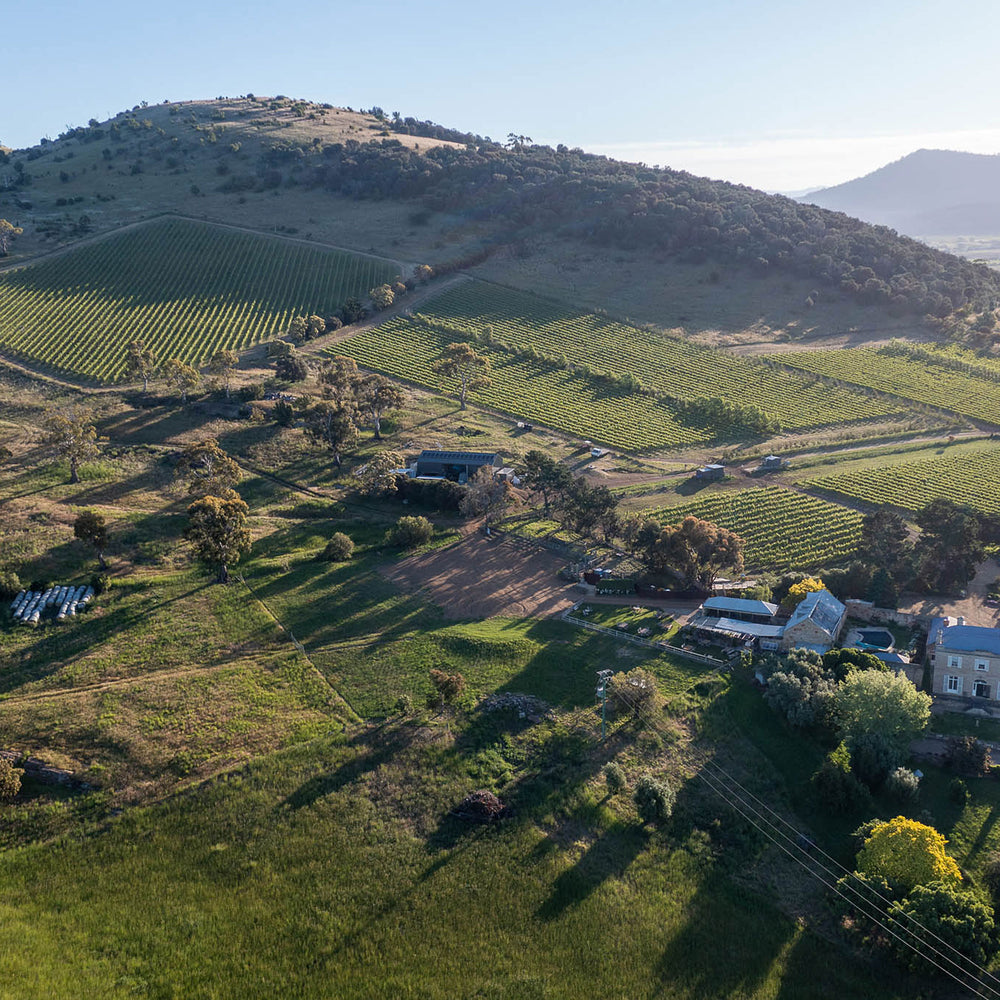 Pooley Elizabeth Anne Chardonnay 2022 - Kent Street Cellars 
