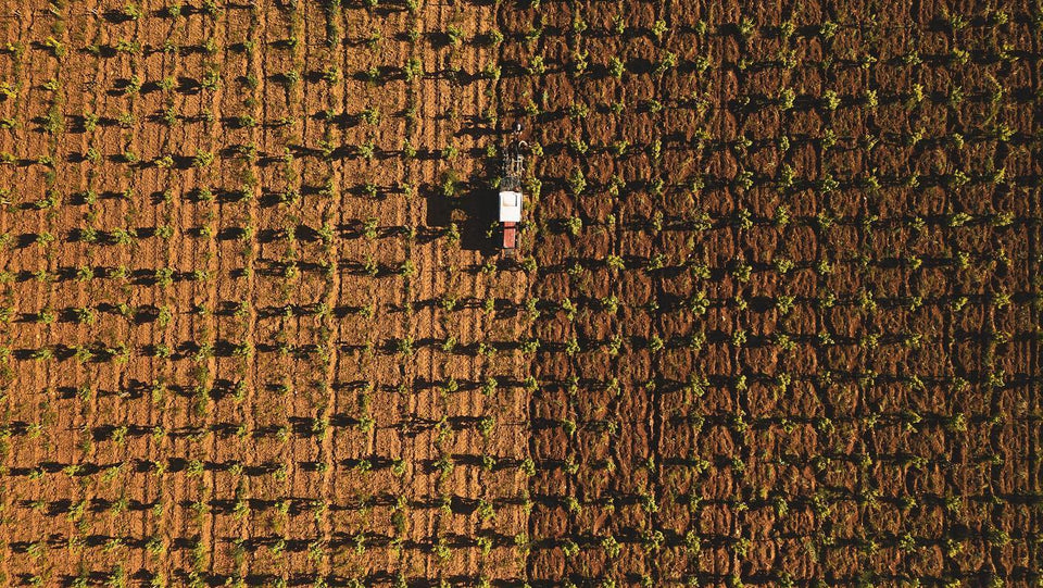 Domaine La Barroche brand story