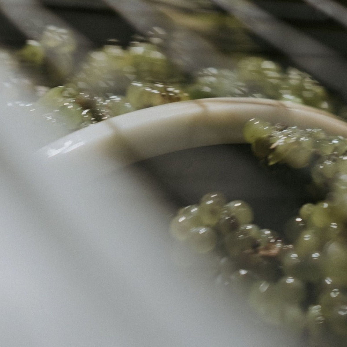 Vasse Felix Premier Chardonnay 2024