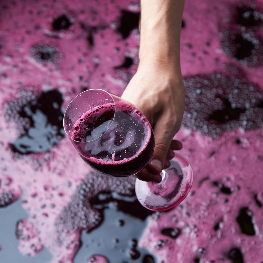 Penfolds Ferment - Kent Street Cellars
