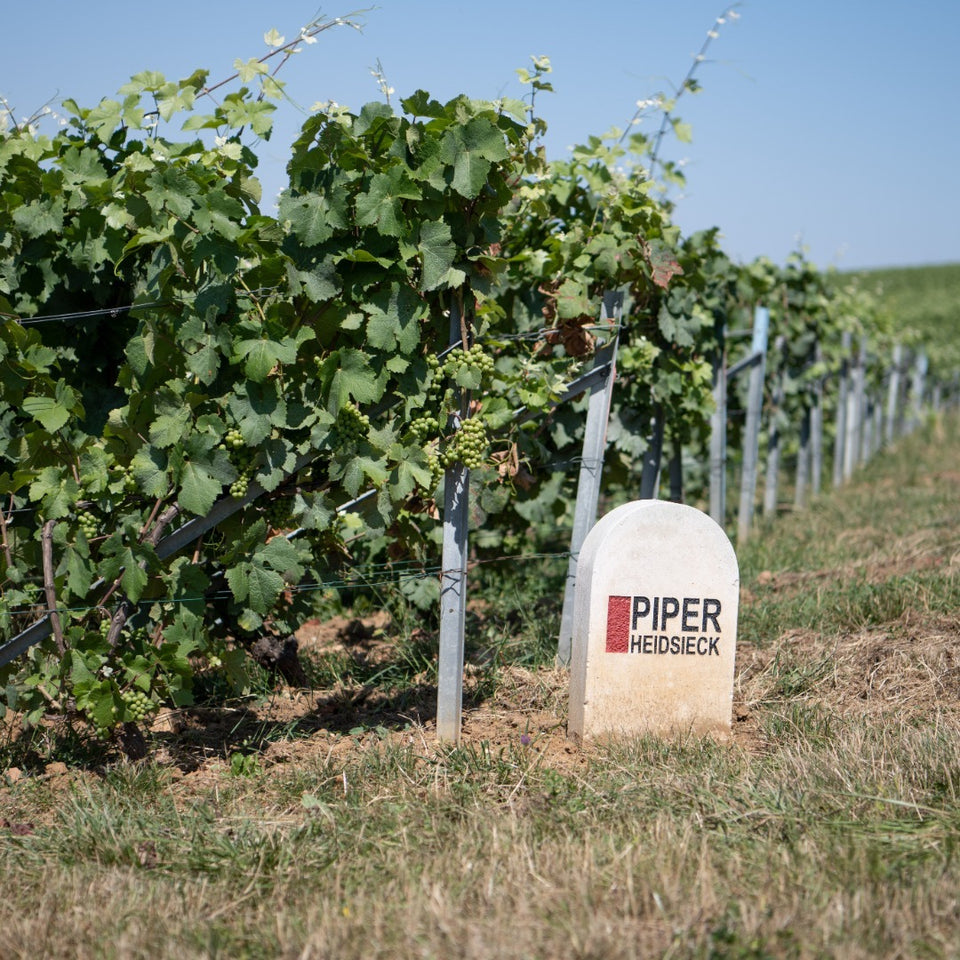 Piper Heidsieck brand story