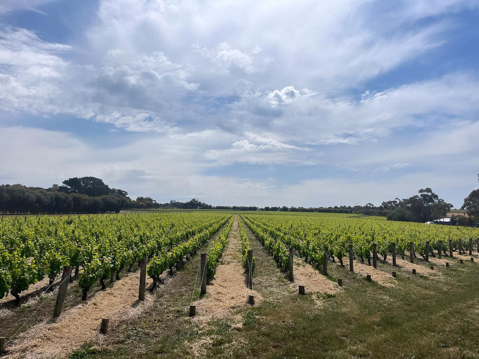 Vineyard brand story