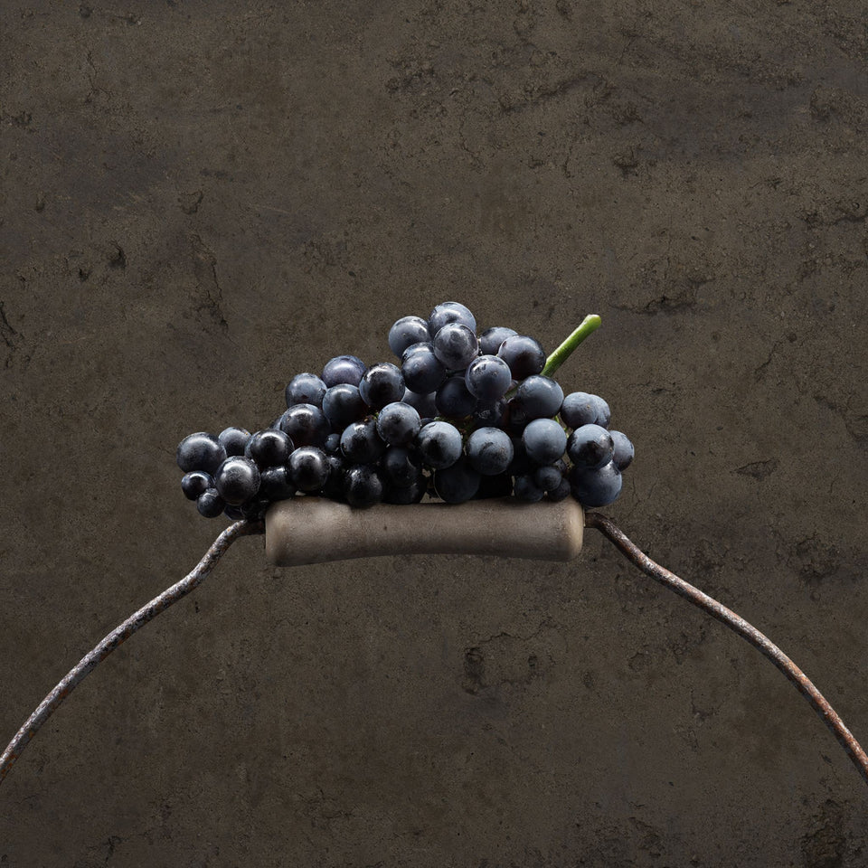 The Vineyard brand story