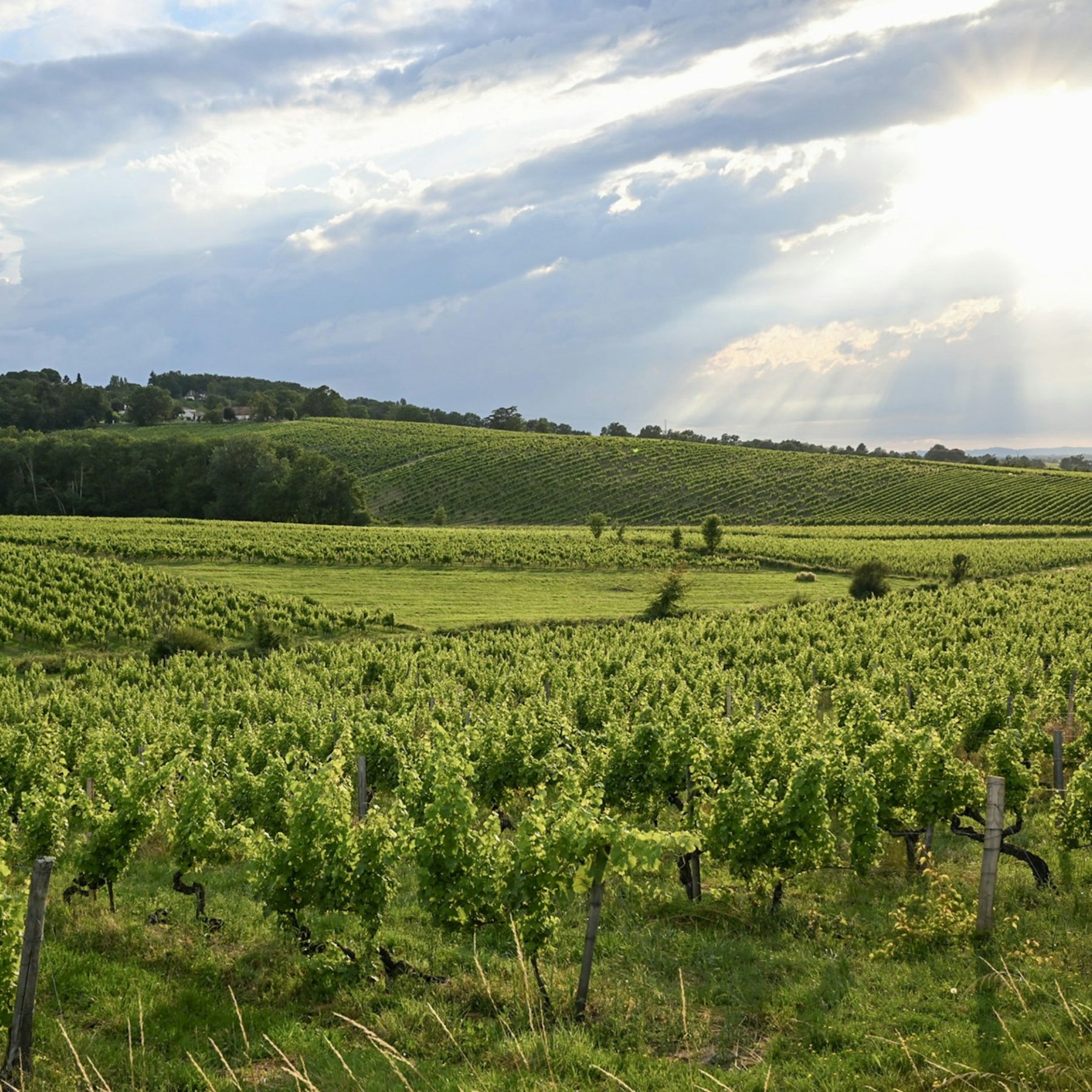 Domaine Christian Salmon Sancerre 2023