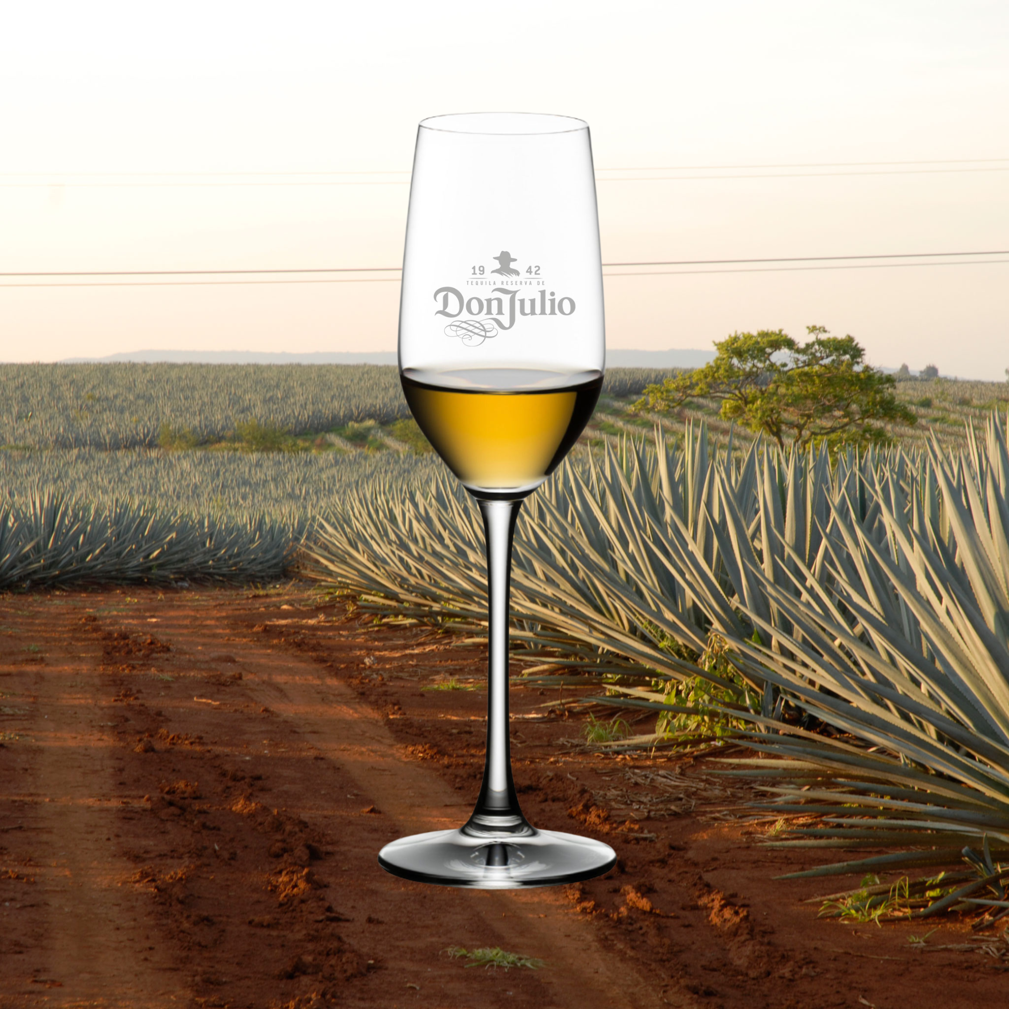 Don Julio 1942 Riedel Tequila Glass