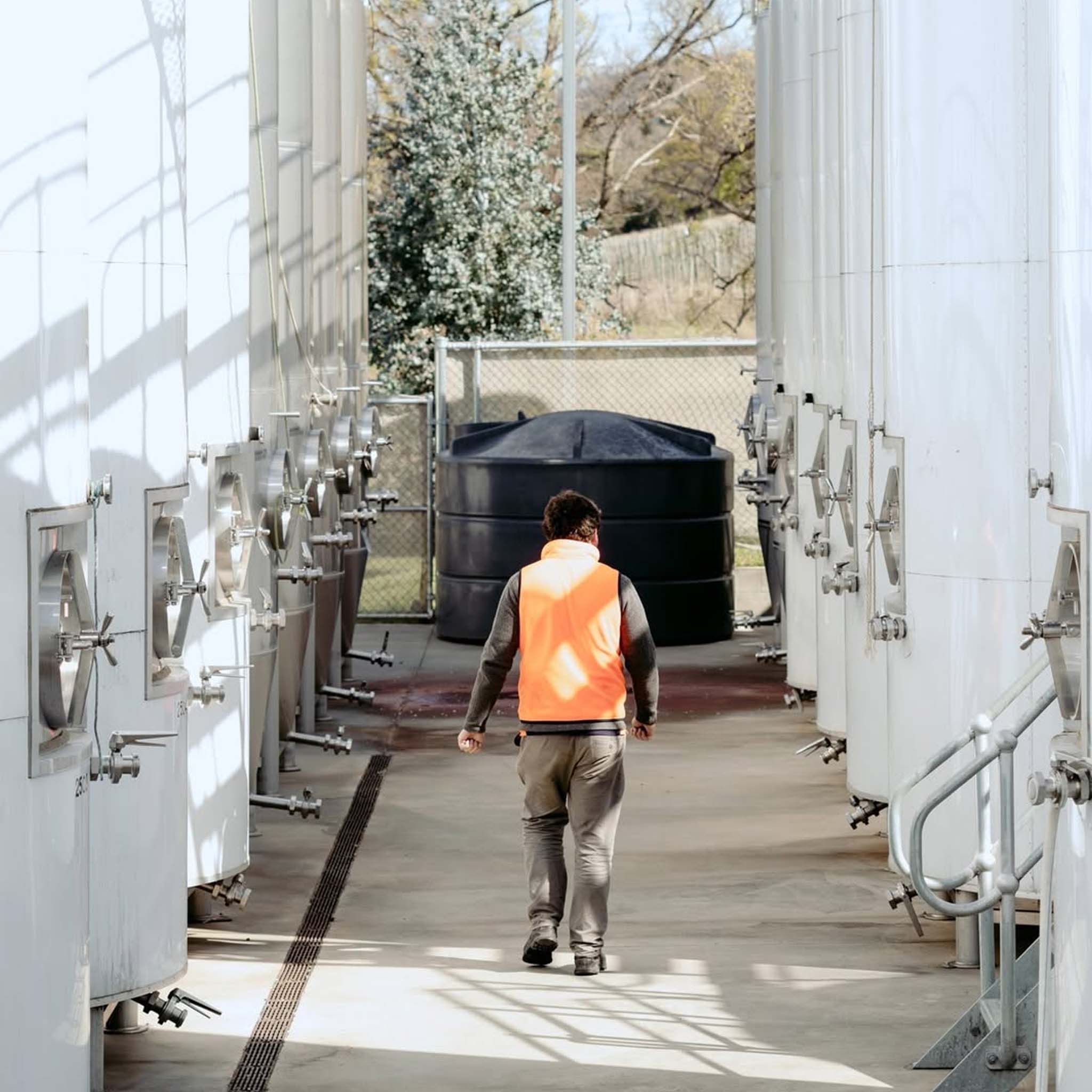 42 Degrees South Pinot Noir 2025