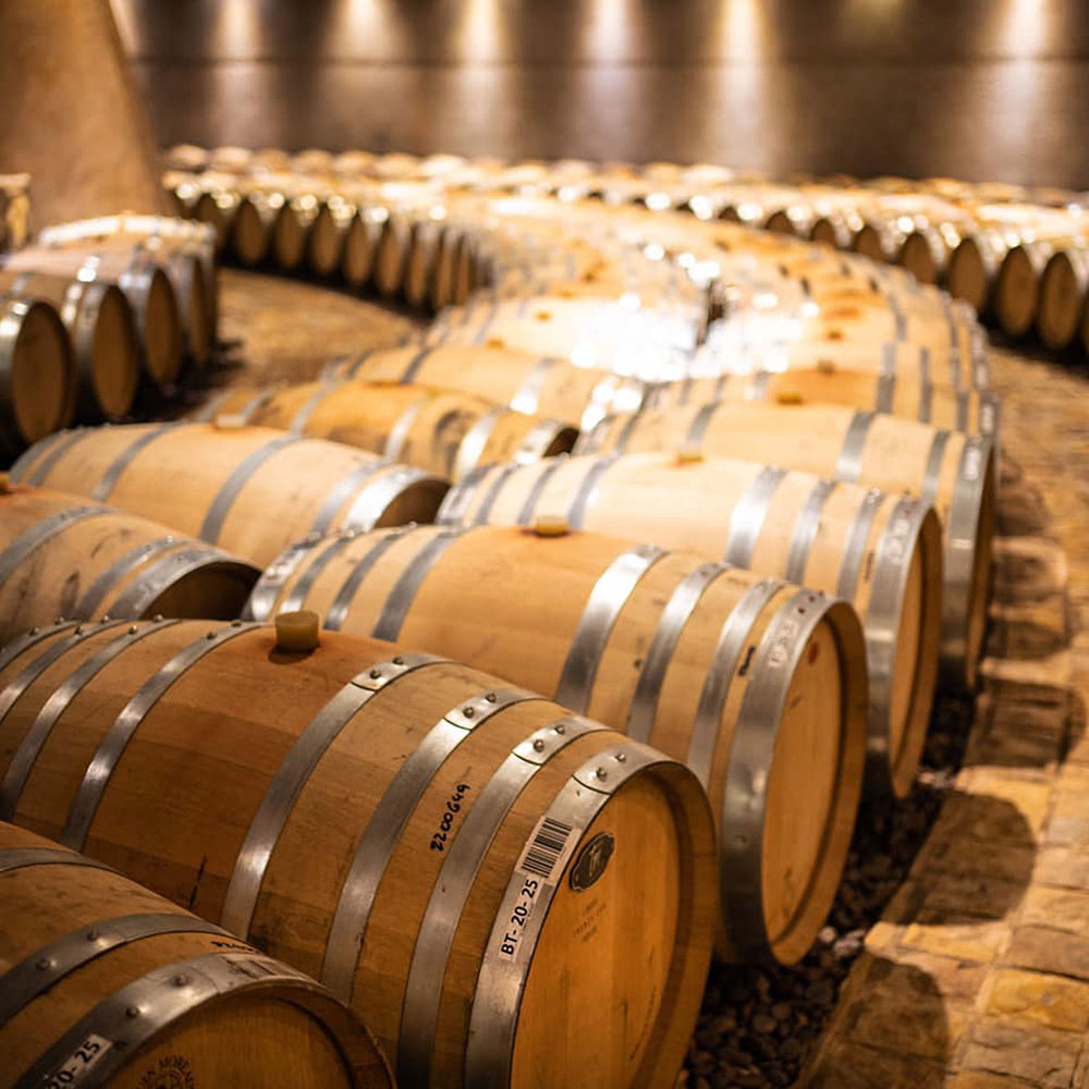 Bodega Catena Zapata Adrianna Vineyard Fortuna Terrae Malbec 2020