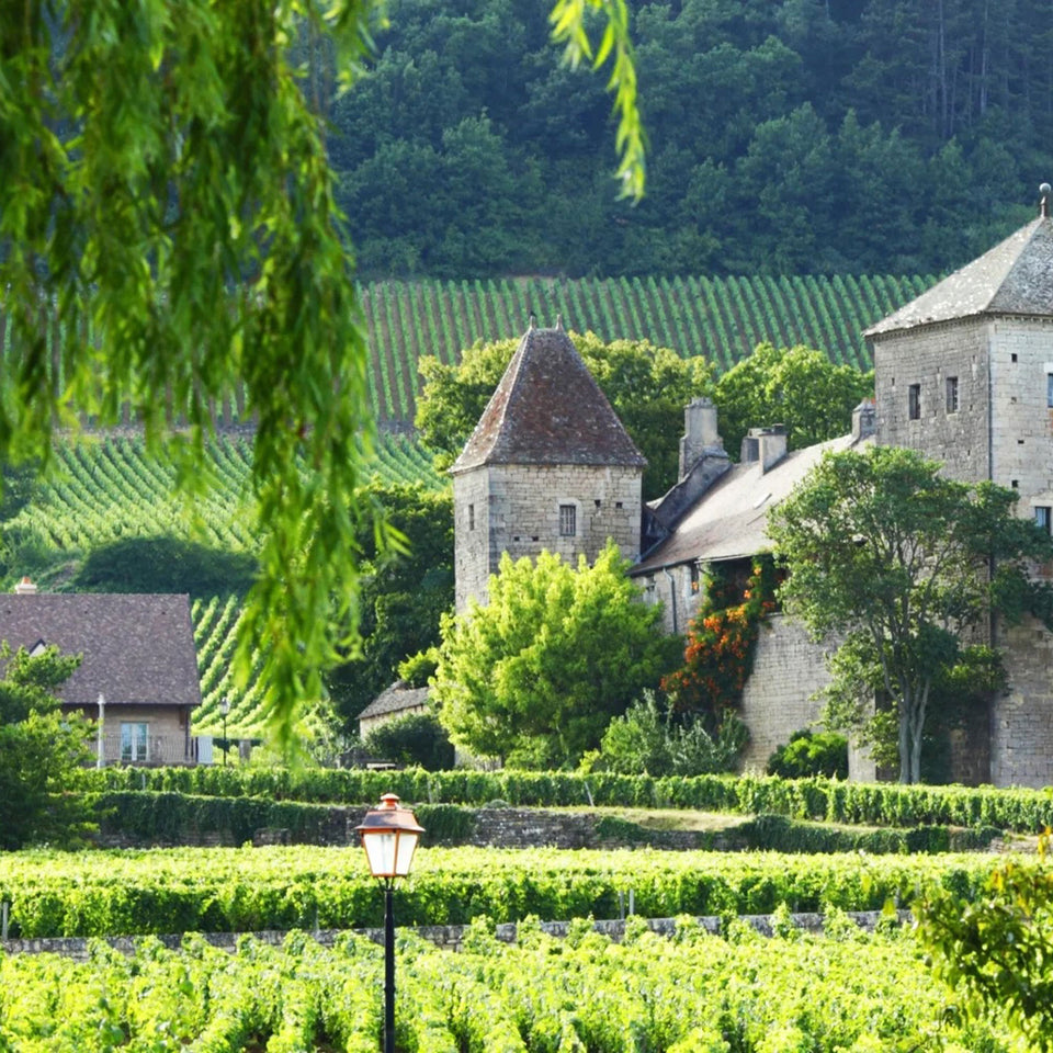 Domaine Henri & Philippe Jouan brand story