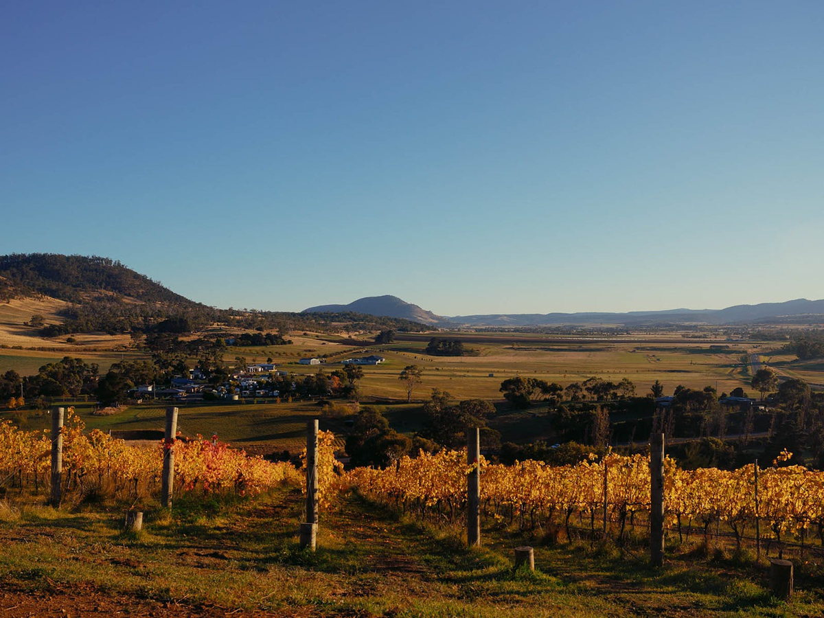 Jasper Hill Emily's Paddock Shiraz Cabernet Franc 2022 - Kent Street Cellars