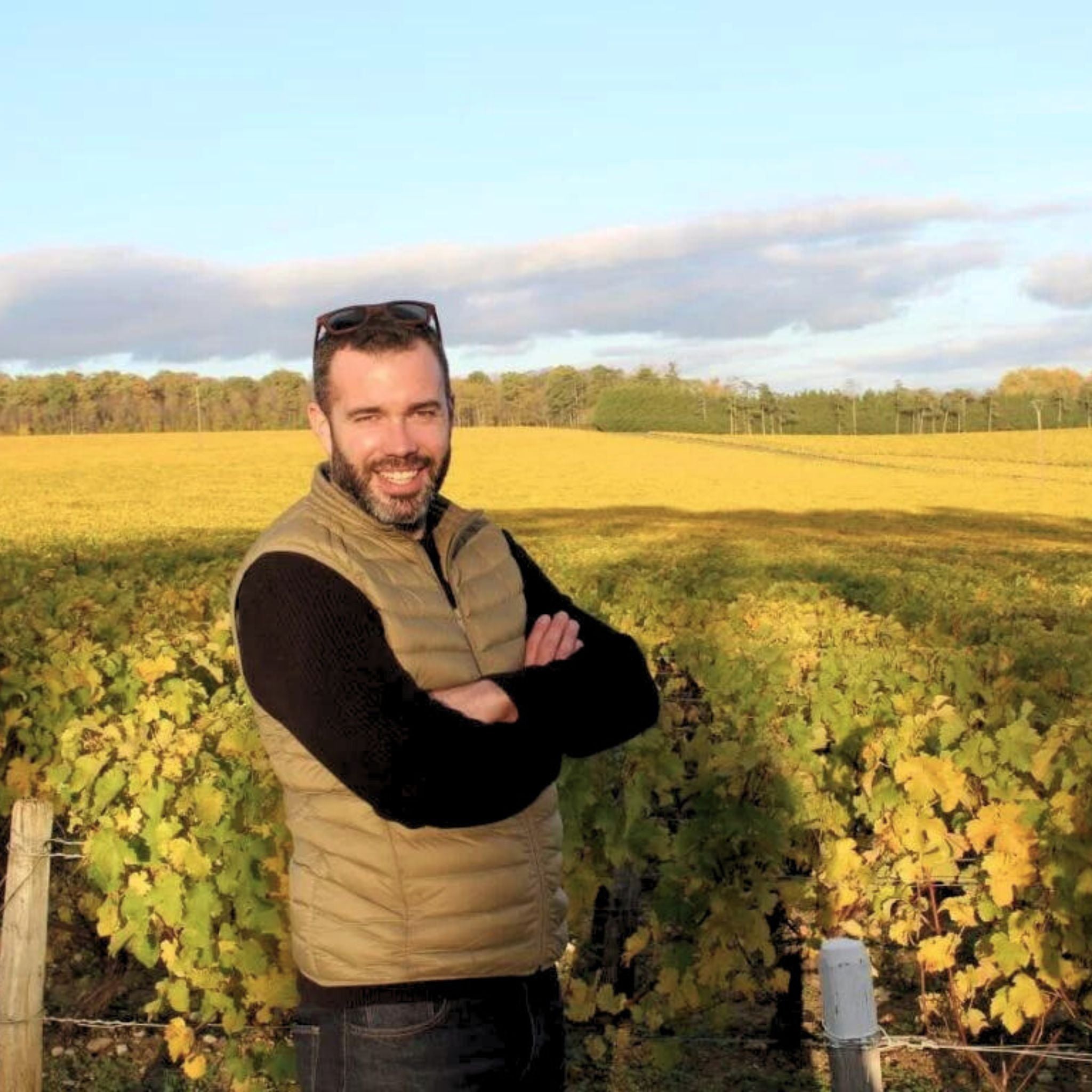 Domaine du Bouchot Pouilly Fume Terres Blanches 2021