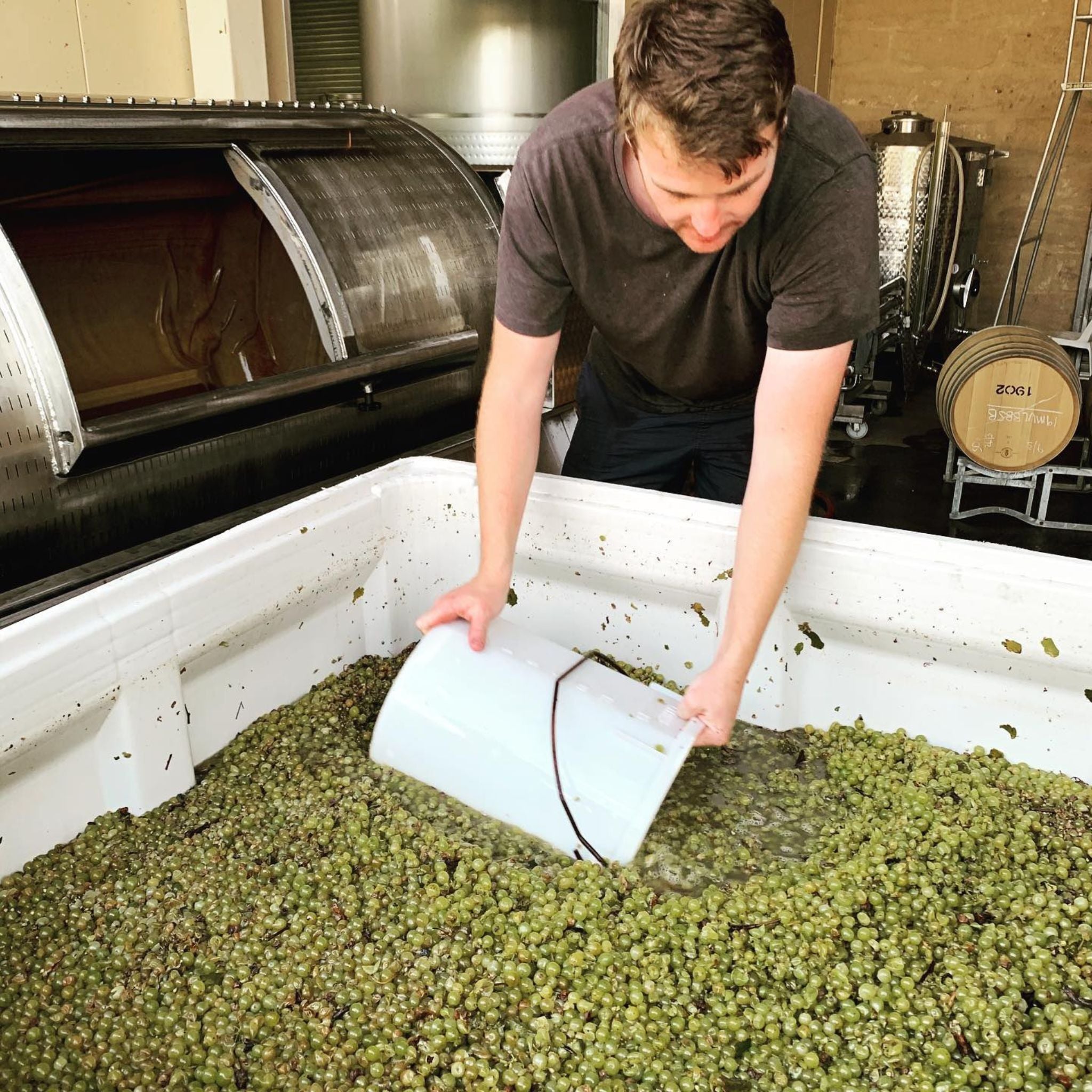 Mulline Single Vineyard Sutherlands Creek Chardonnay 2024