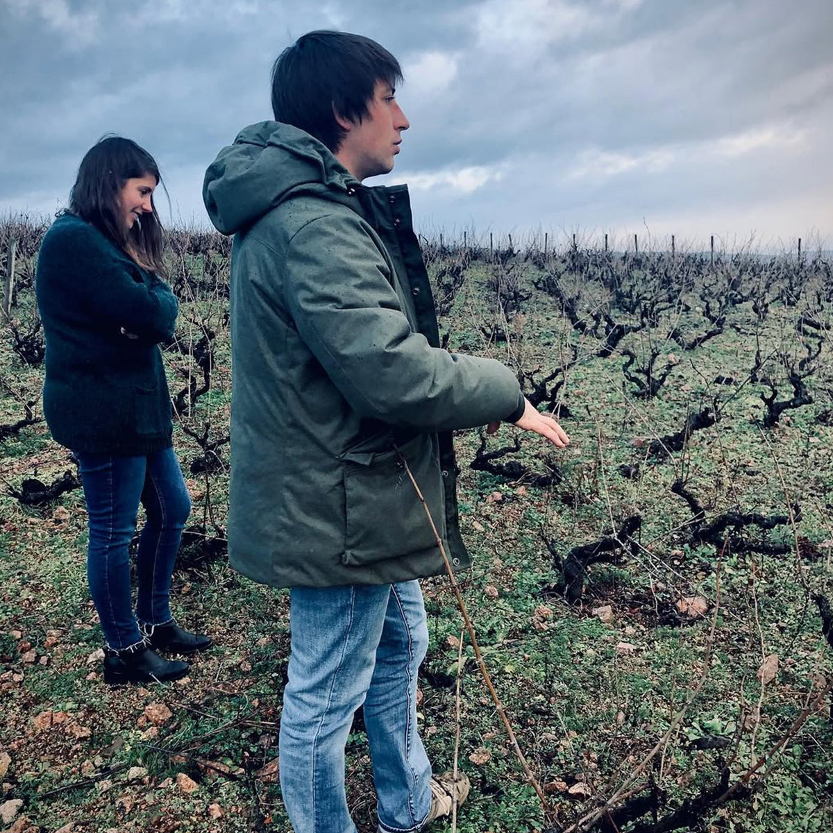 Alex Foillard Brouilly Beaujolais 2021