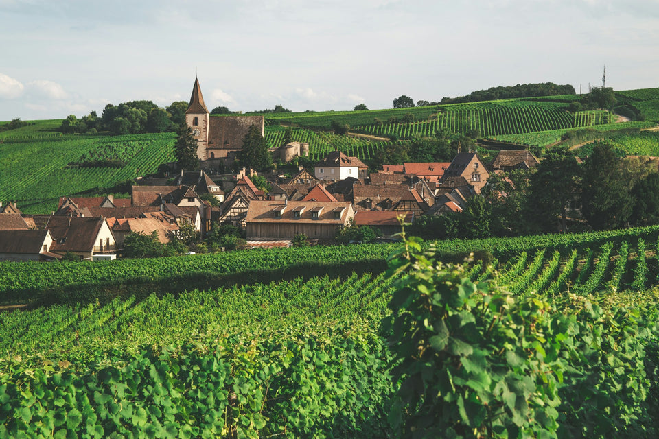 Domaine Jean-Luc Mader brand story