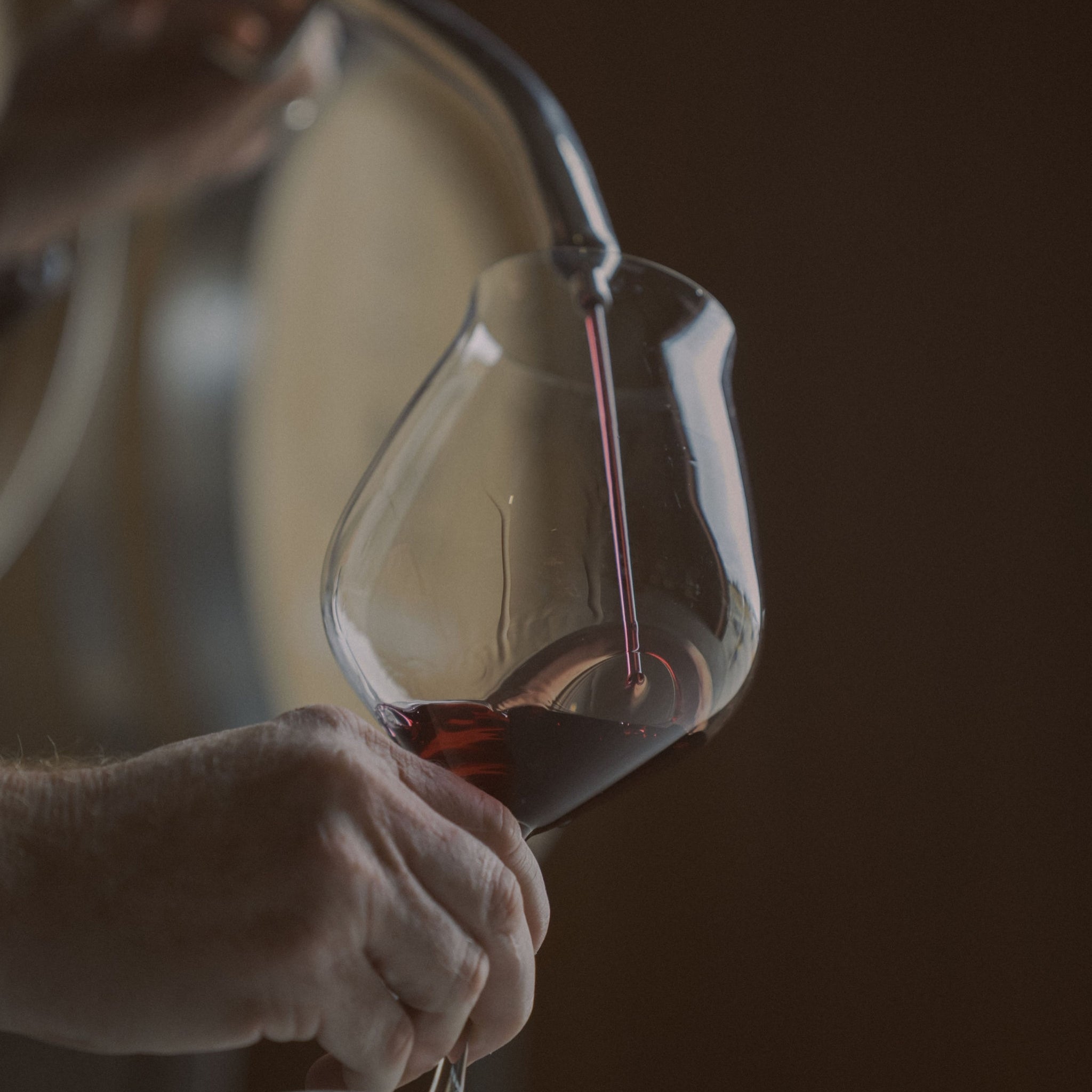 Amisfield Pinot Noir 2023 (6 Bottles)