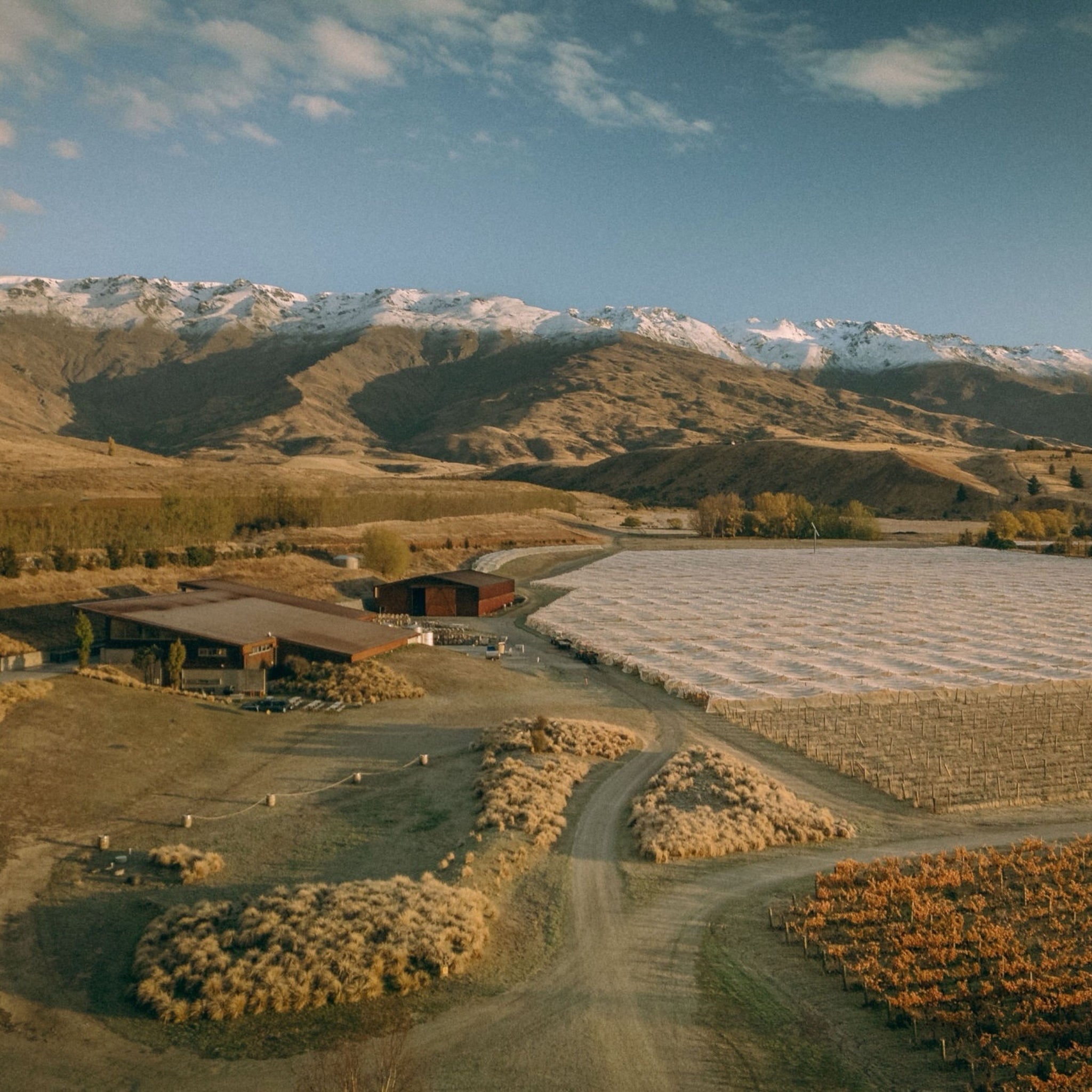 Amisfield Pinot Noir 2023 (6 Bottles)