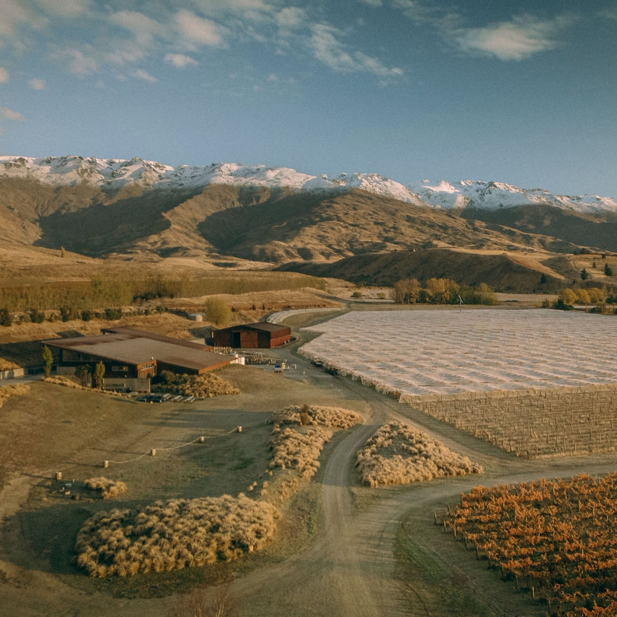 Amisfield Pinot Noir 2023 (6 Bottles)
