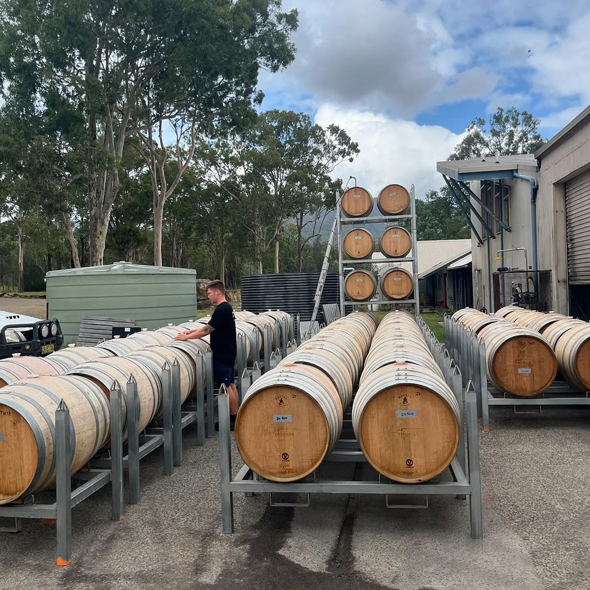 Thomas Wines Cellar Reserve Braemore Semillon 2018