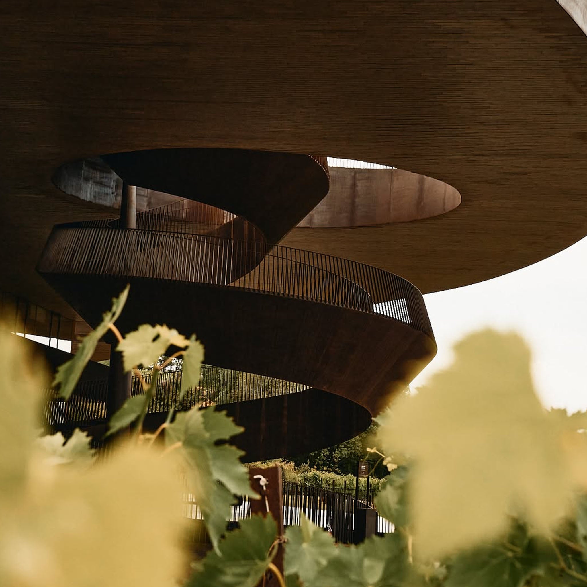 Marchesi Antinori Tignanello 2020