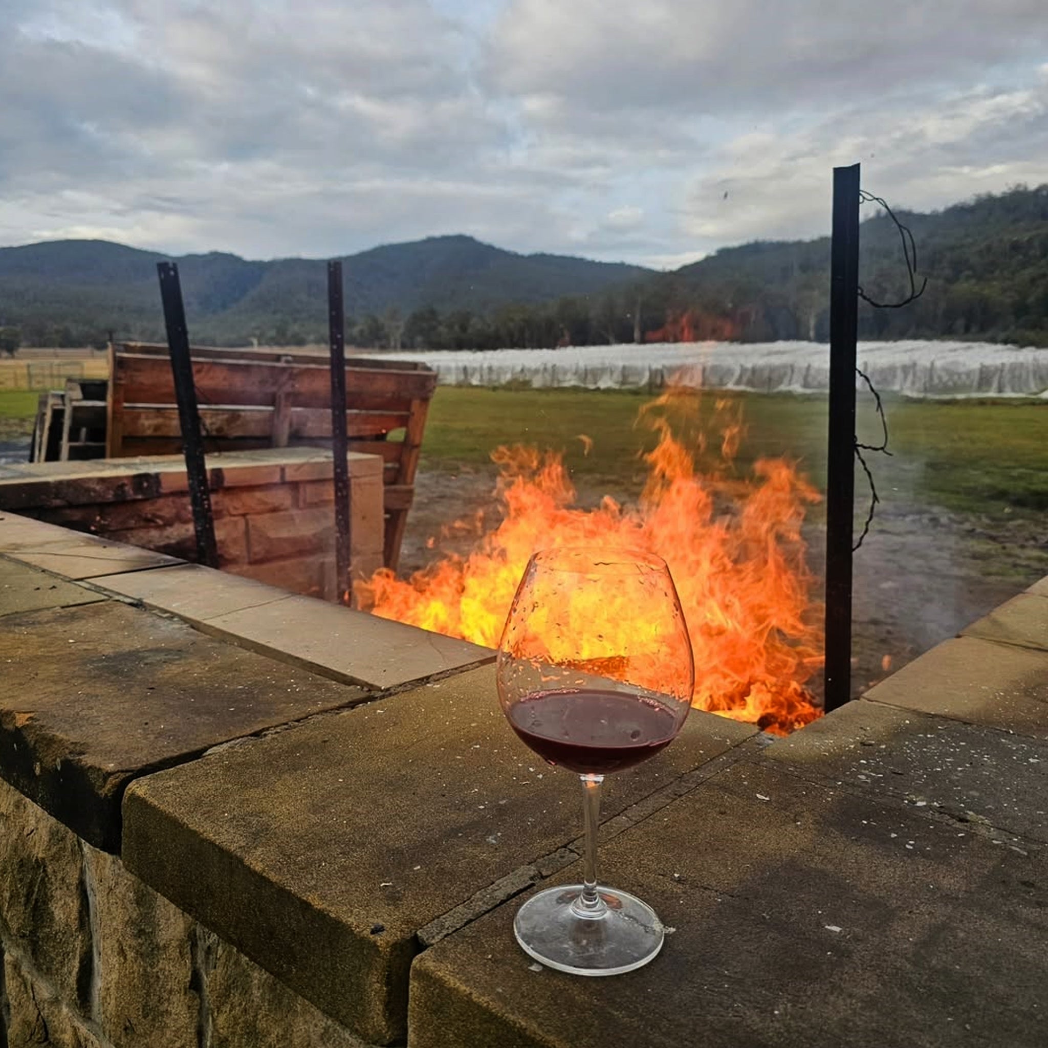 Apsley Gorge Pinot Noir 2024