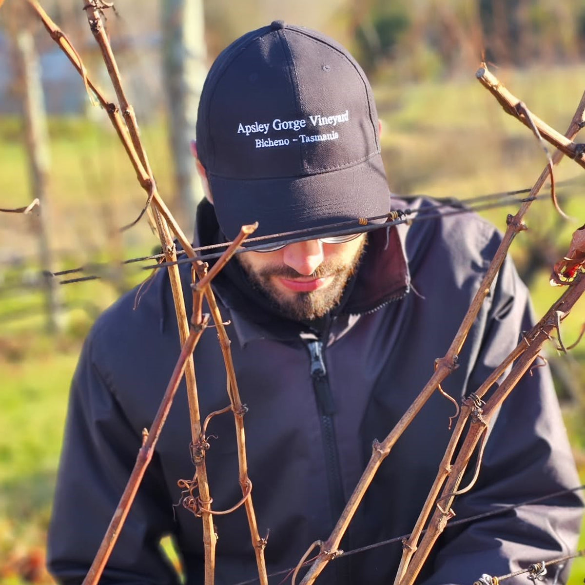 Apsley Gorge Chardonnay 2024