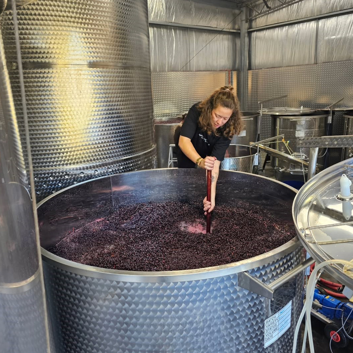 Apsley Gorge Pinot Noir 2023