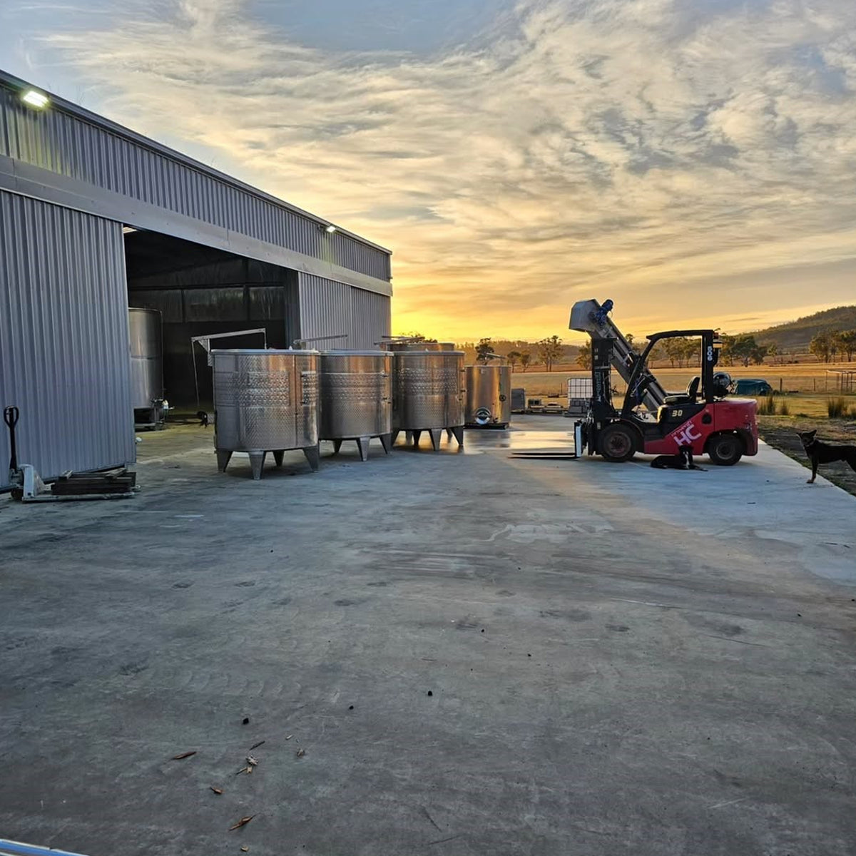 Apsley Gorge Chardonnay 2024