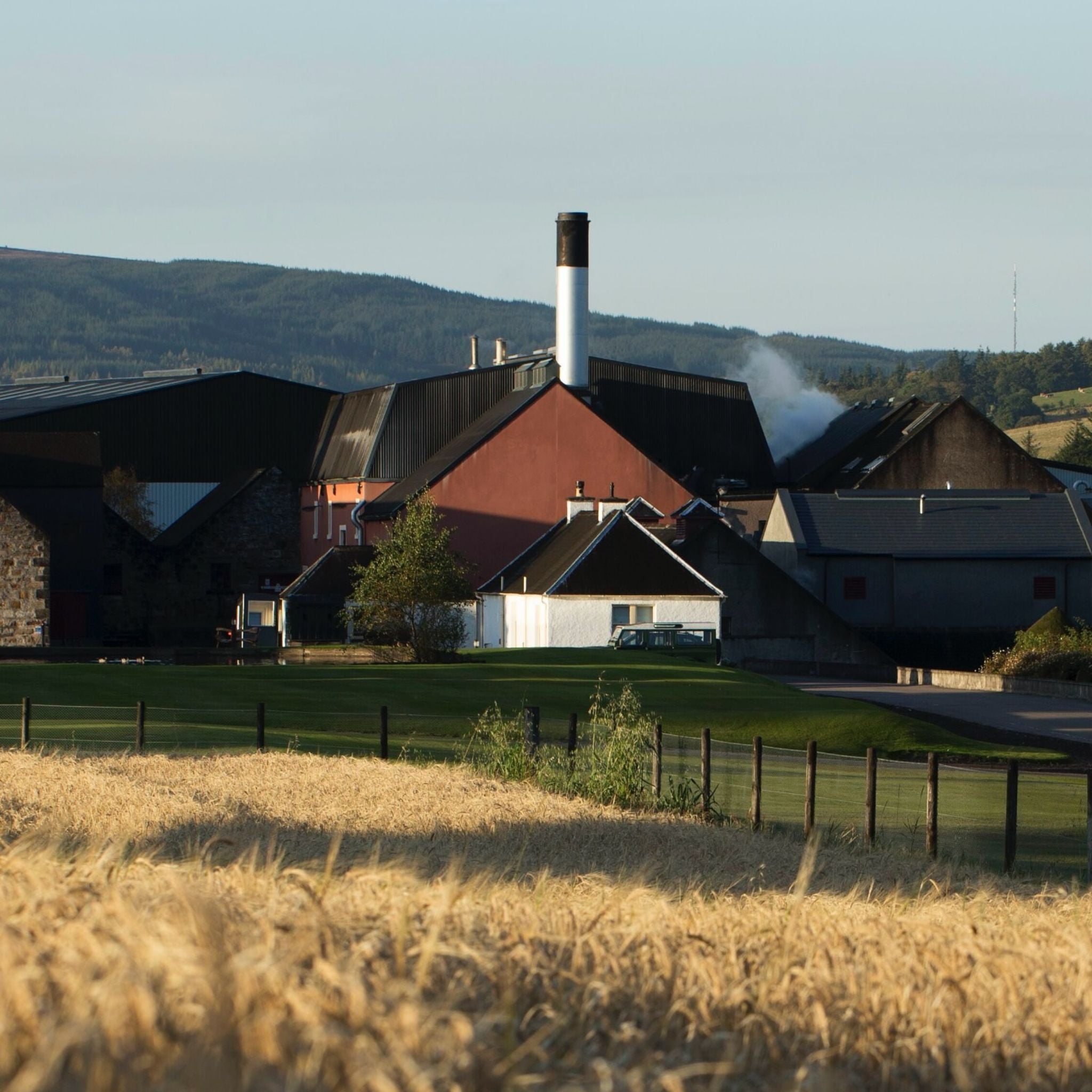 Balvenie Caribbean Cask 14 Year Old Single Malt Scotch Whisky 700ml