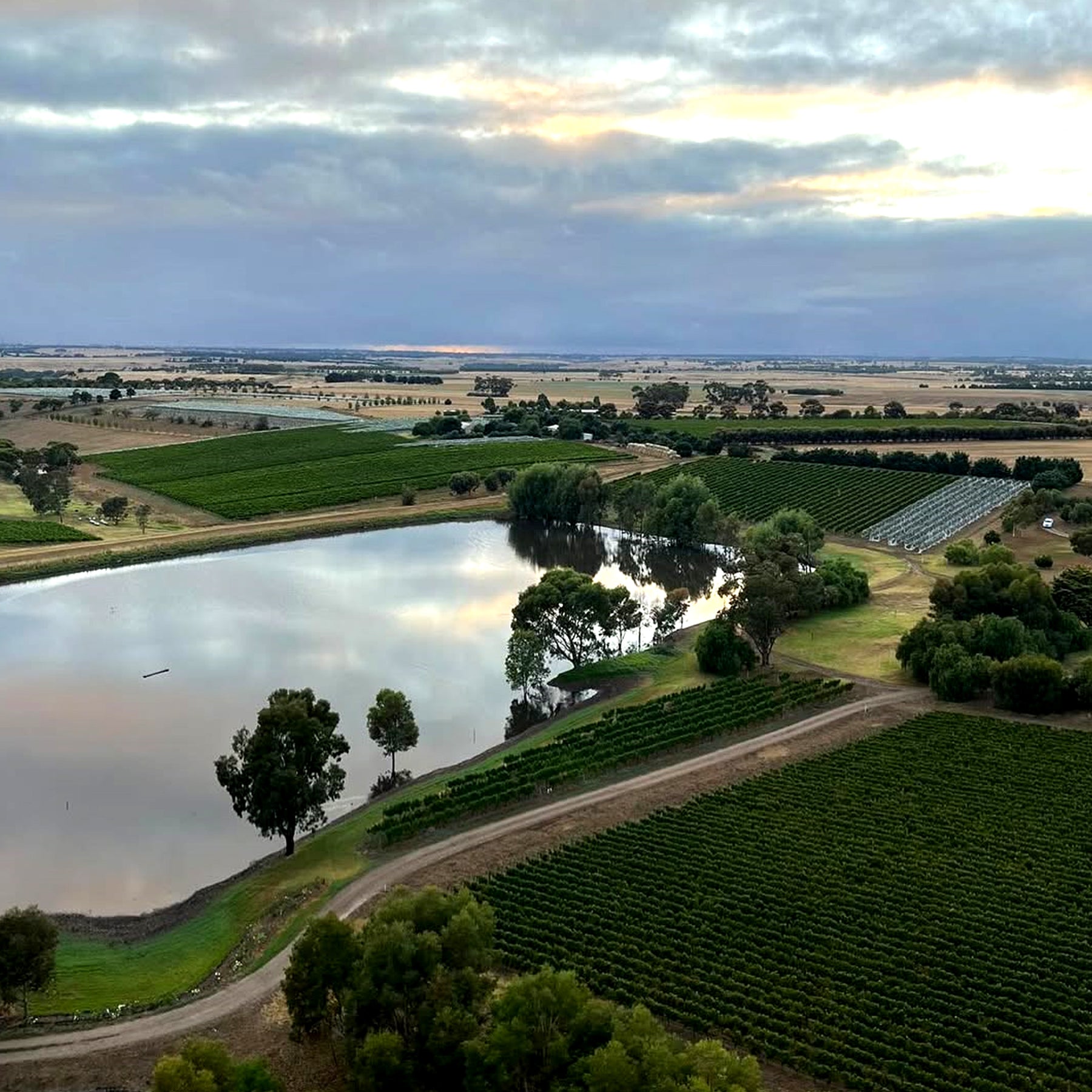 Bannockburn Chardonnay 2025