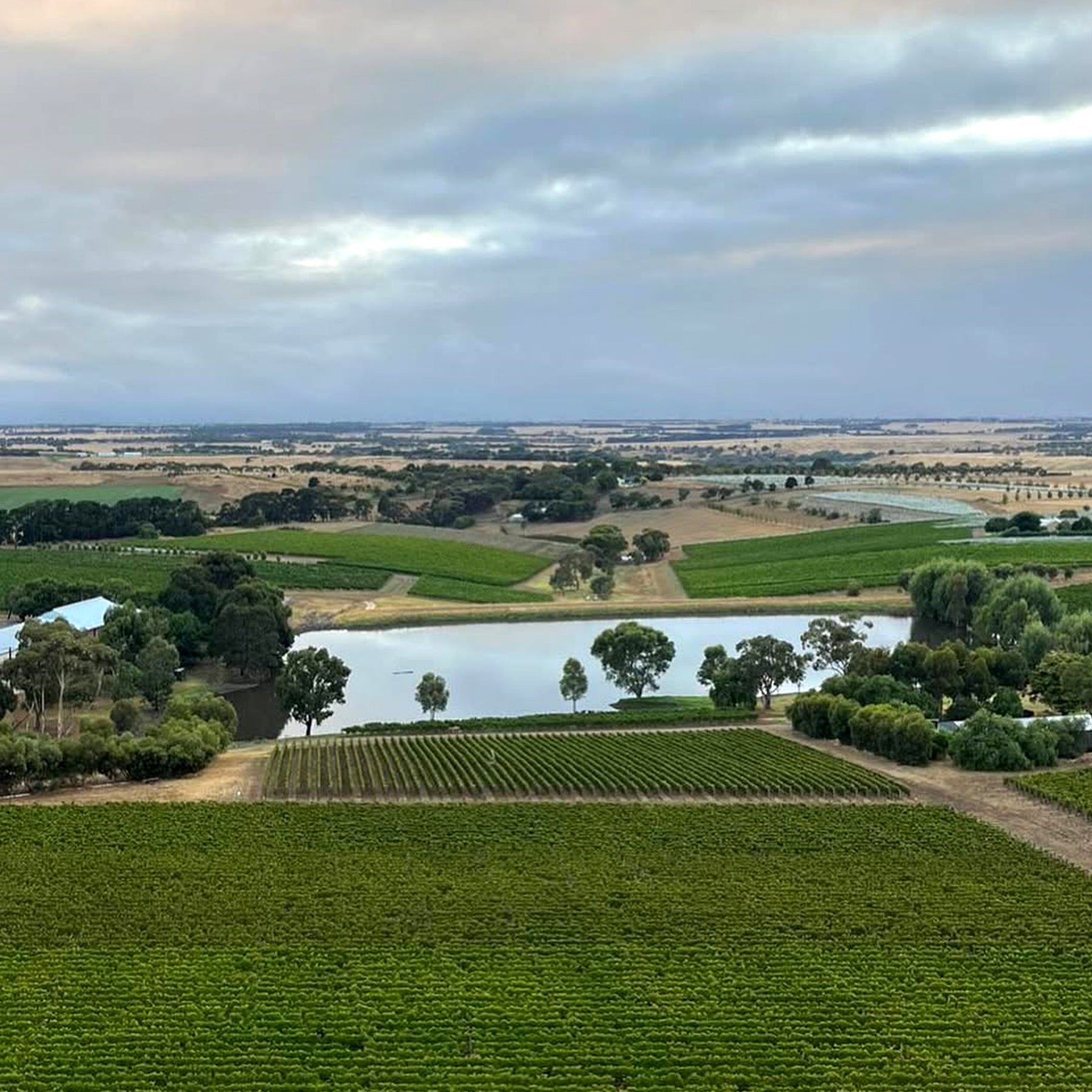 Bannockburn Chardonnay 2025