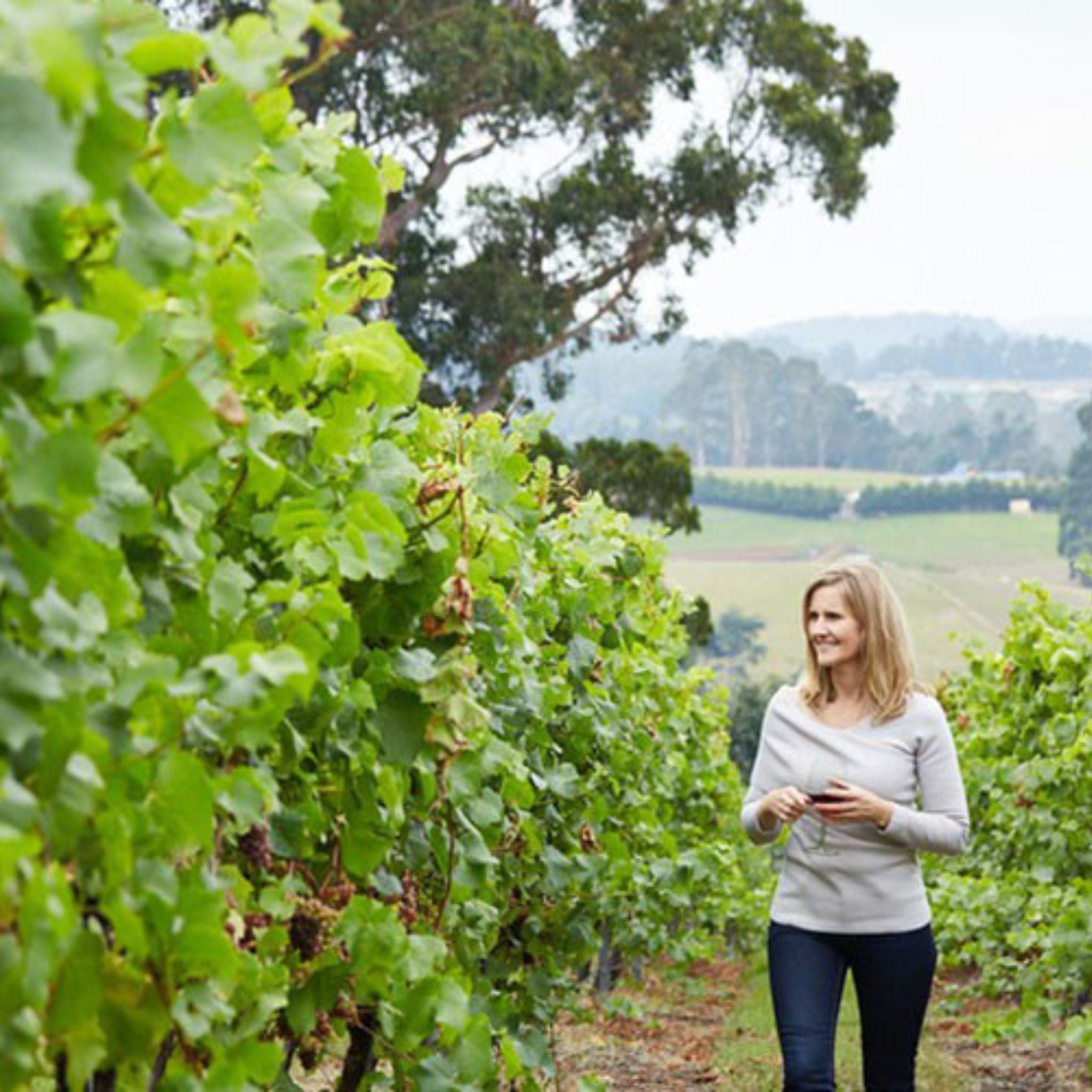 Barringwood Estate Pinot Noir 2024