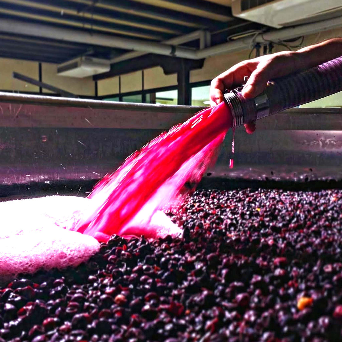 Benjamin Leroux Volnay 2023
