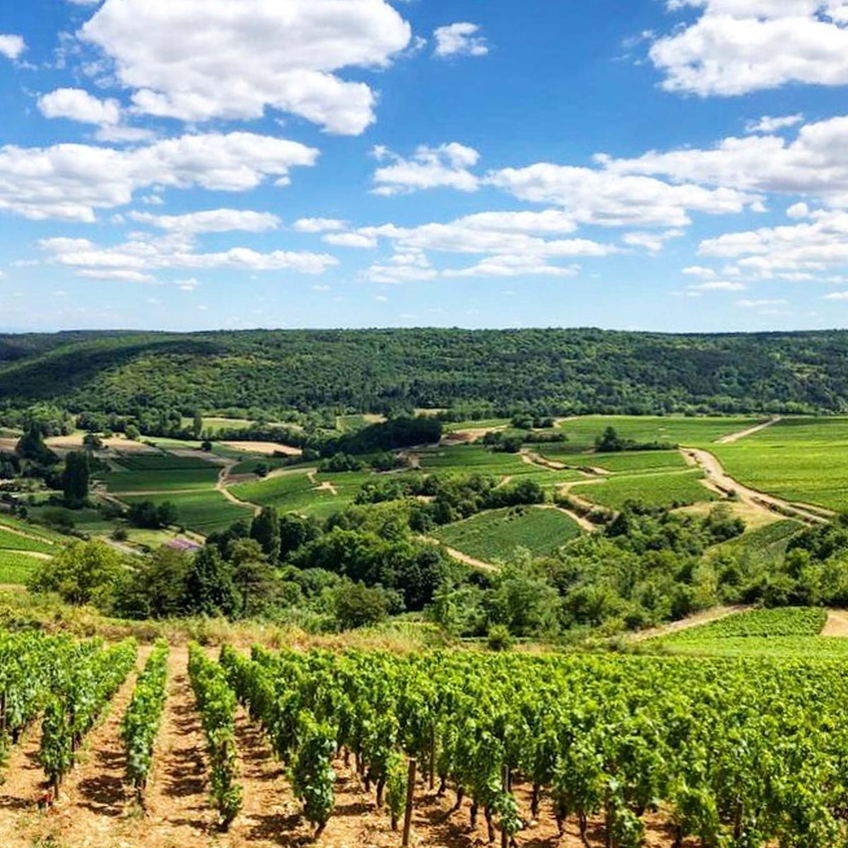 Benjamin Leroux Volnay 2023
