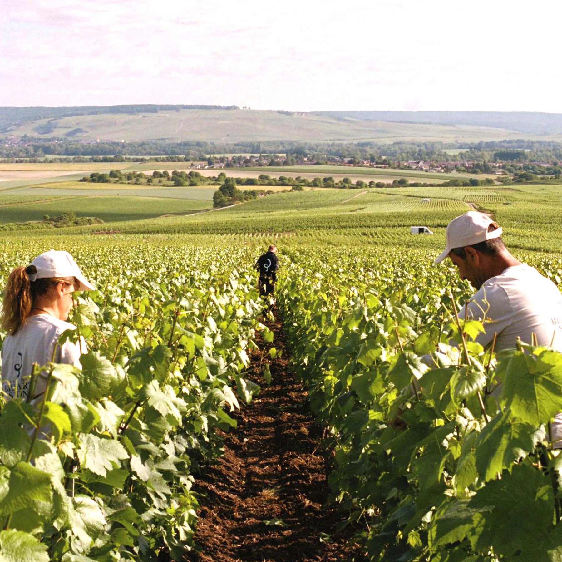 Billecart-Salmon Les Rendez-vous N°2 Pinot Noir Extra-Brut NV
