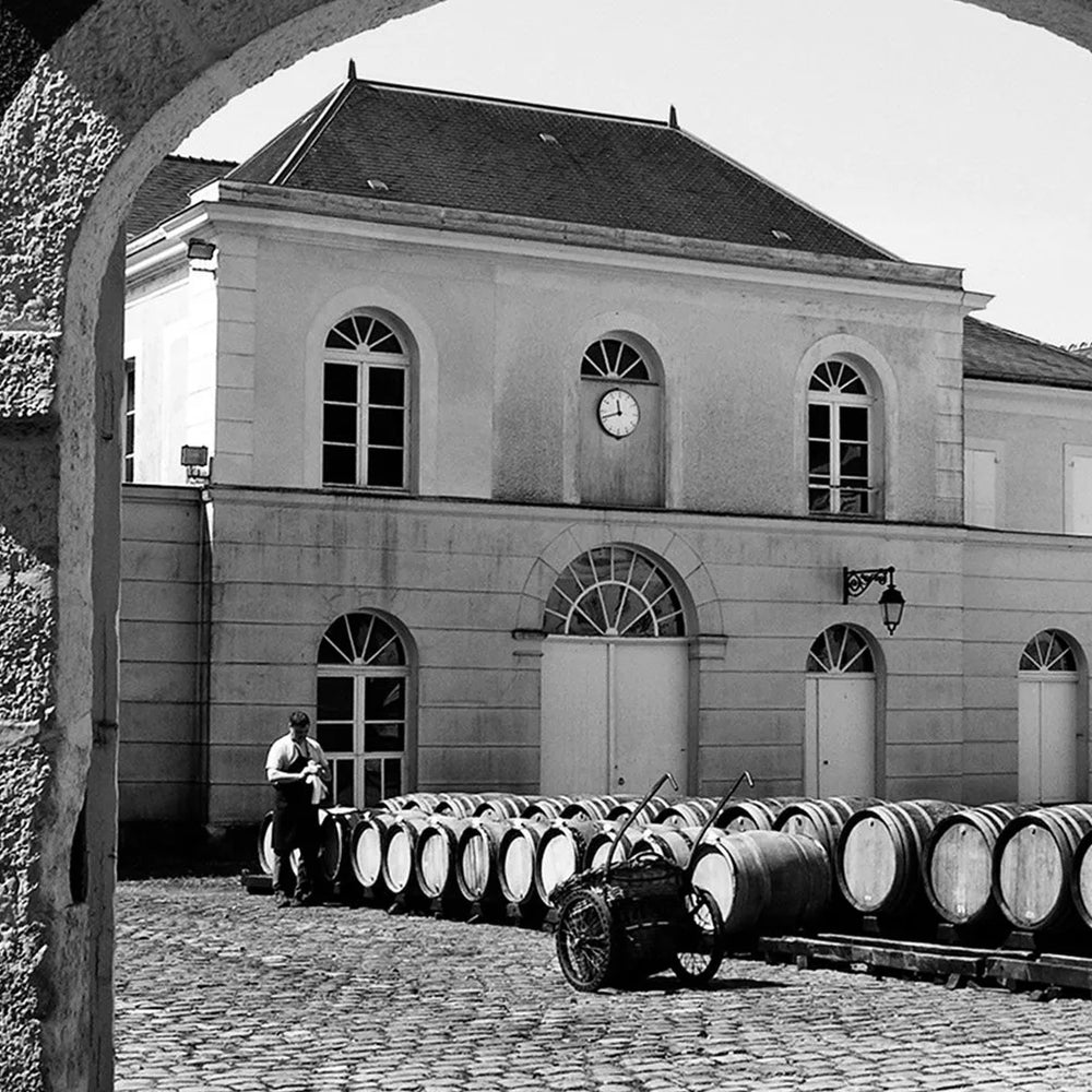 Bollinger Red Blanket